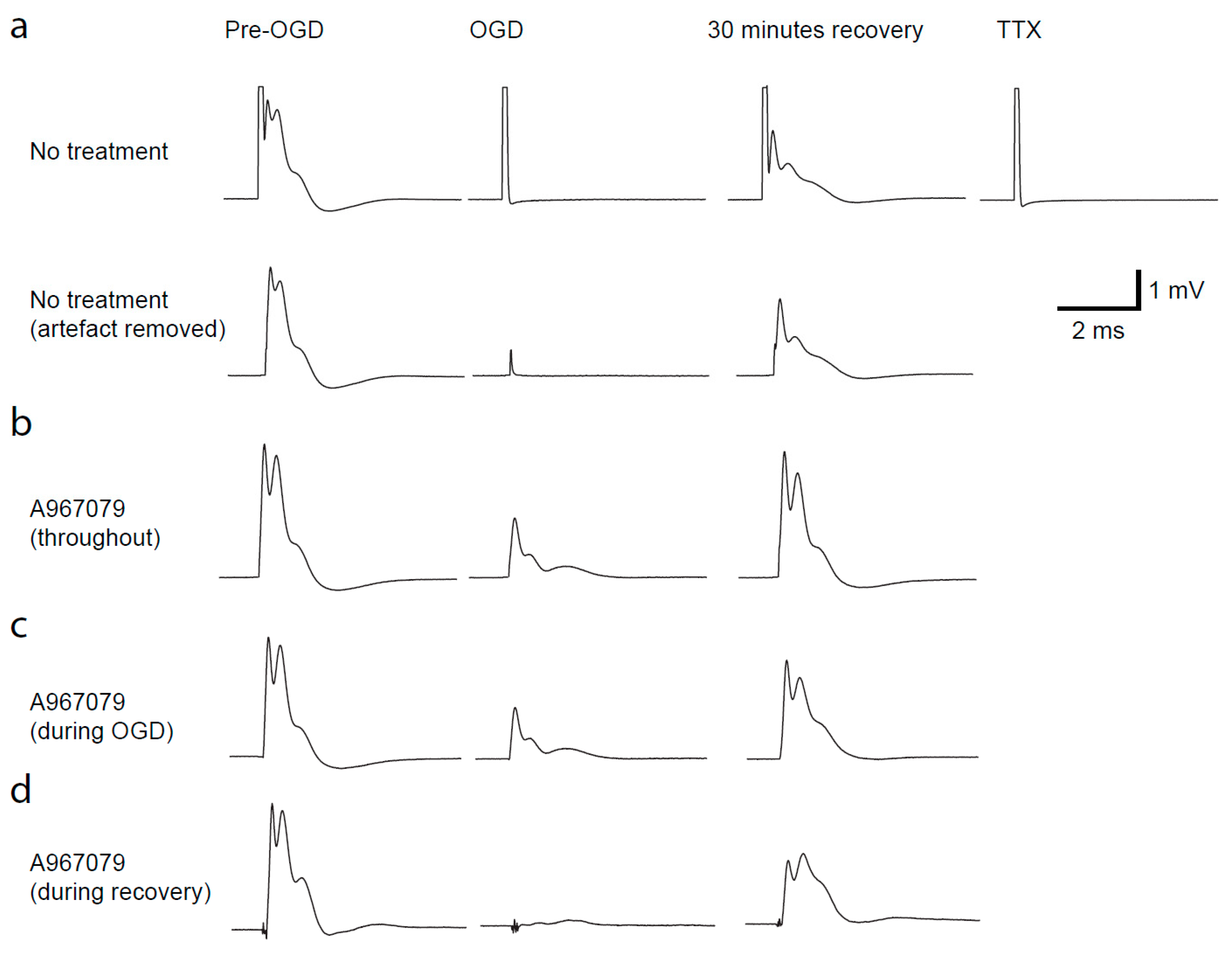 Pharmaceuticals 14 00909 g003 Pharmaceuticals 14 00909 g003
