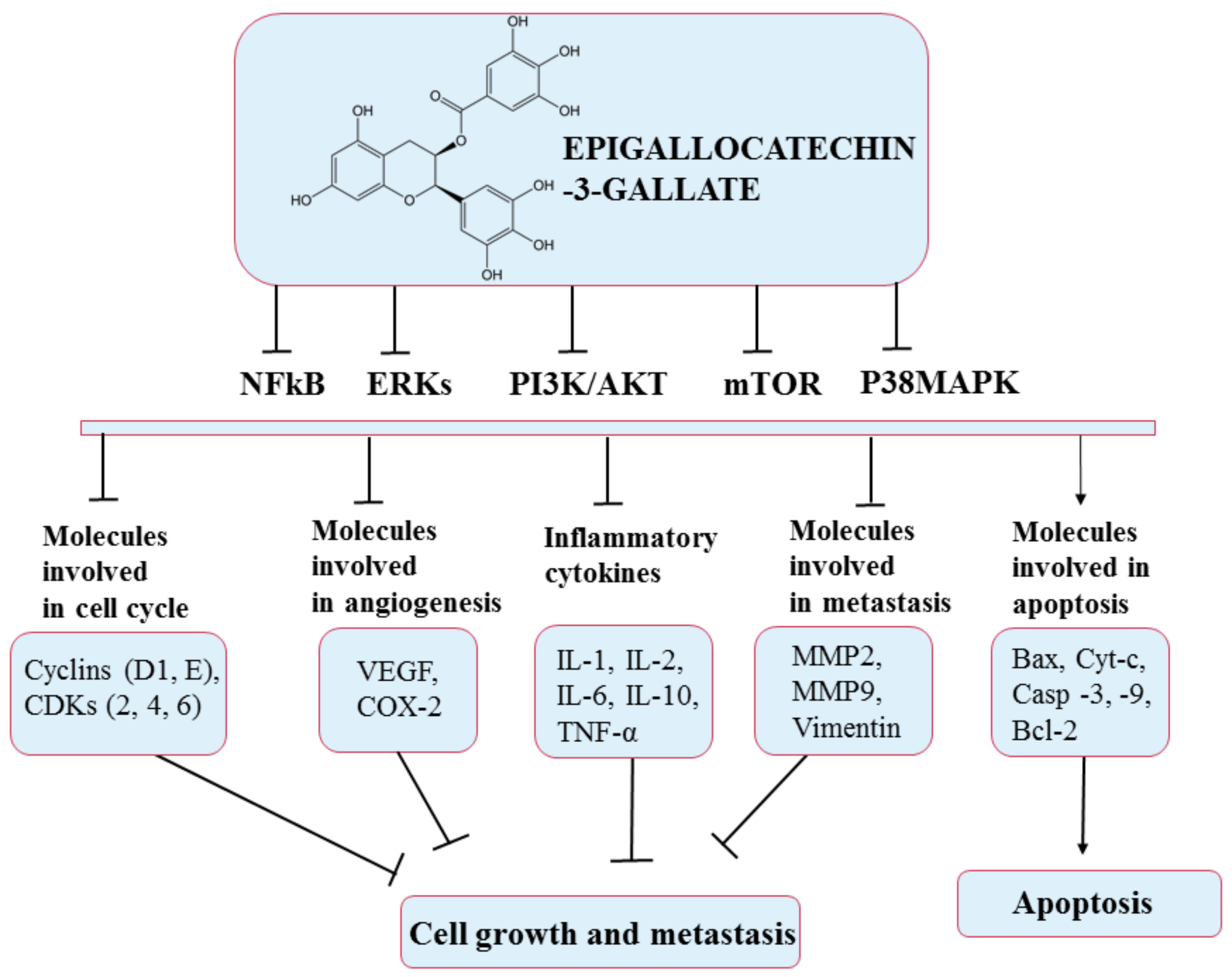 Pharmaceuticals 14 00946 g010 Pharmaceuticals 14 00946 g010