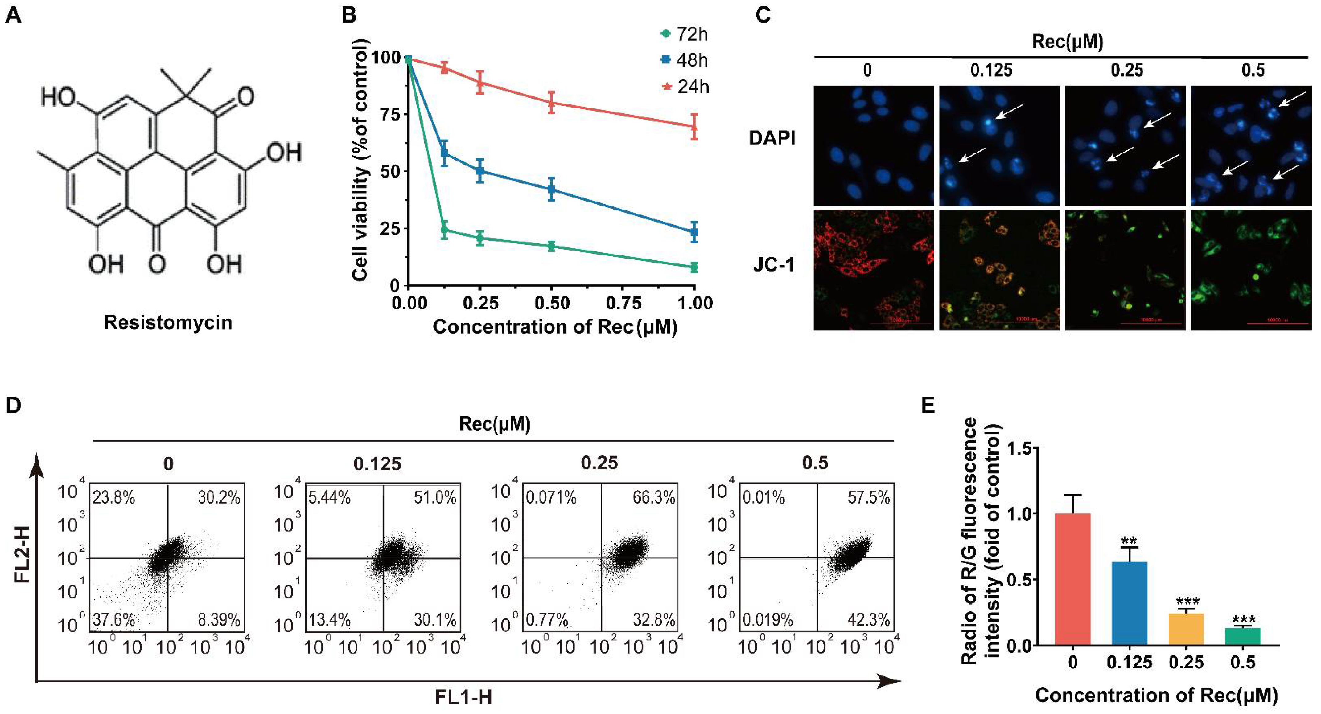 Pharmaceuticals 14 00958 g001