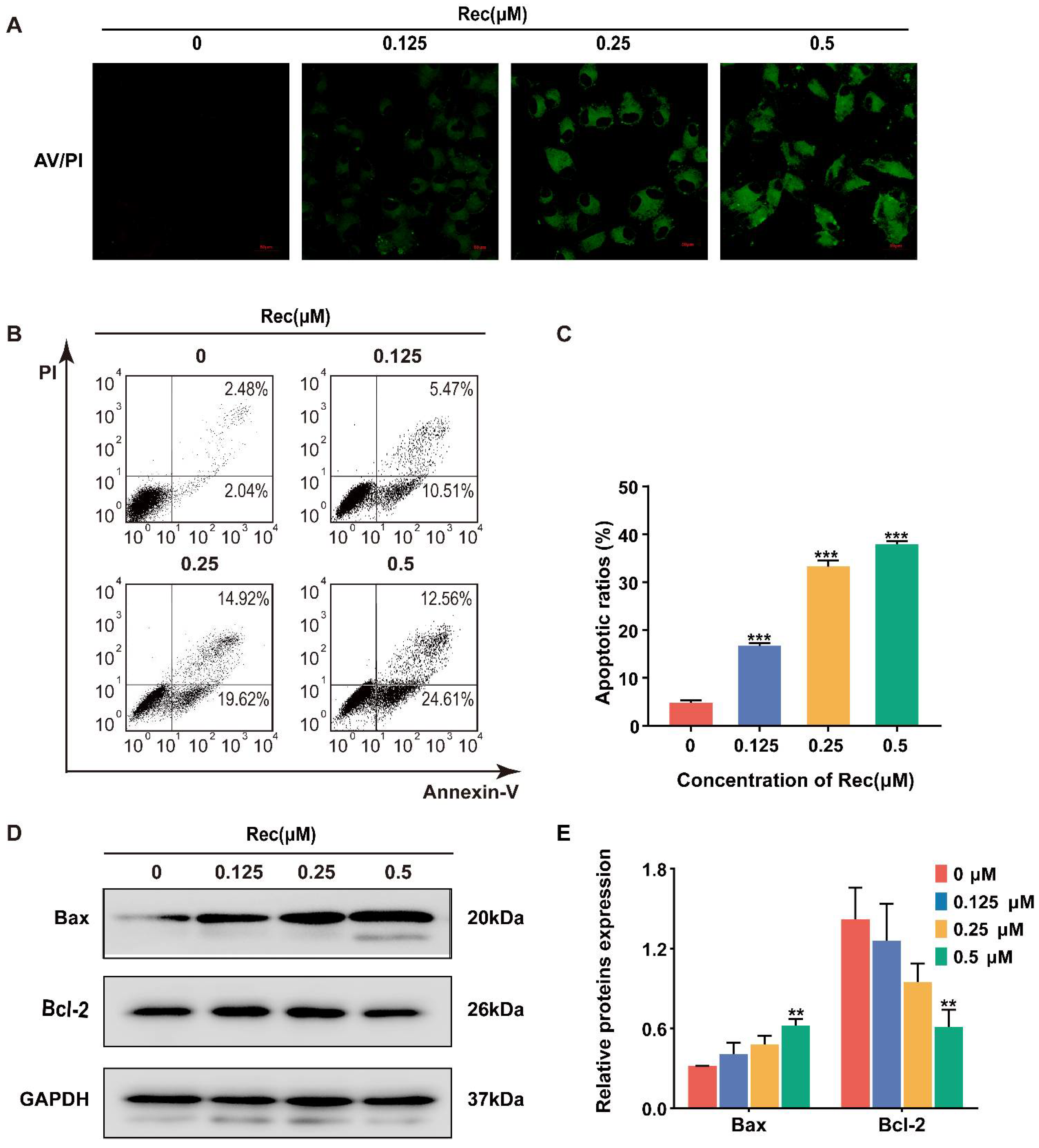 Pharmaceuticals 14 00958 g002