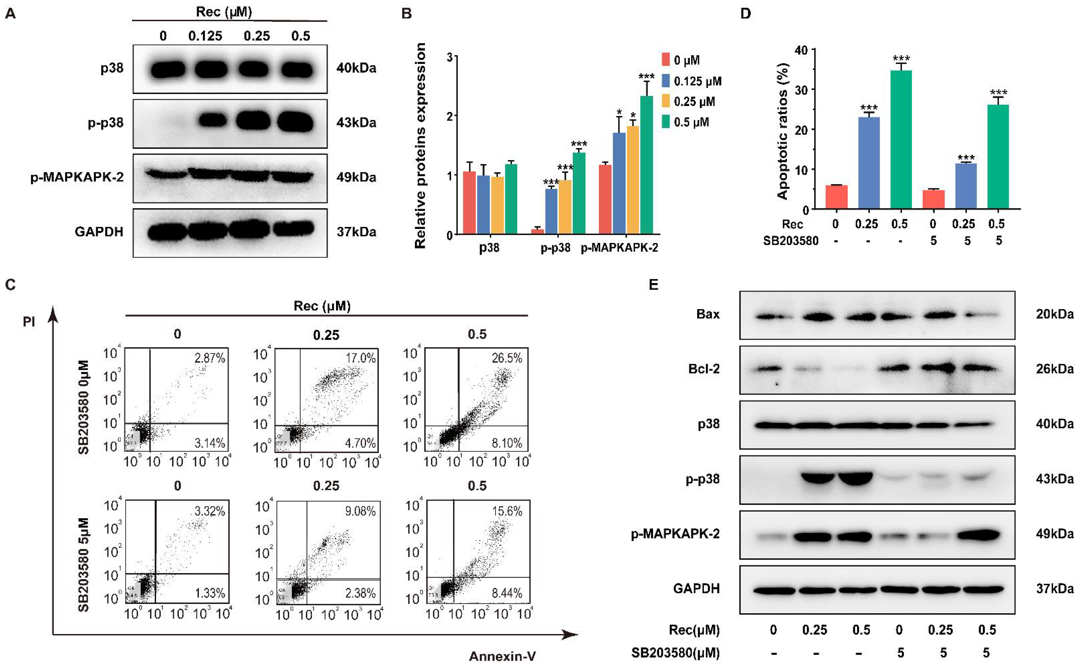 Pharmaceuticals 14 00958 g004