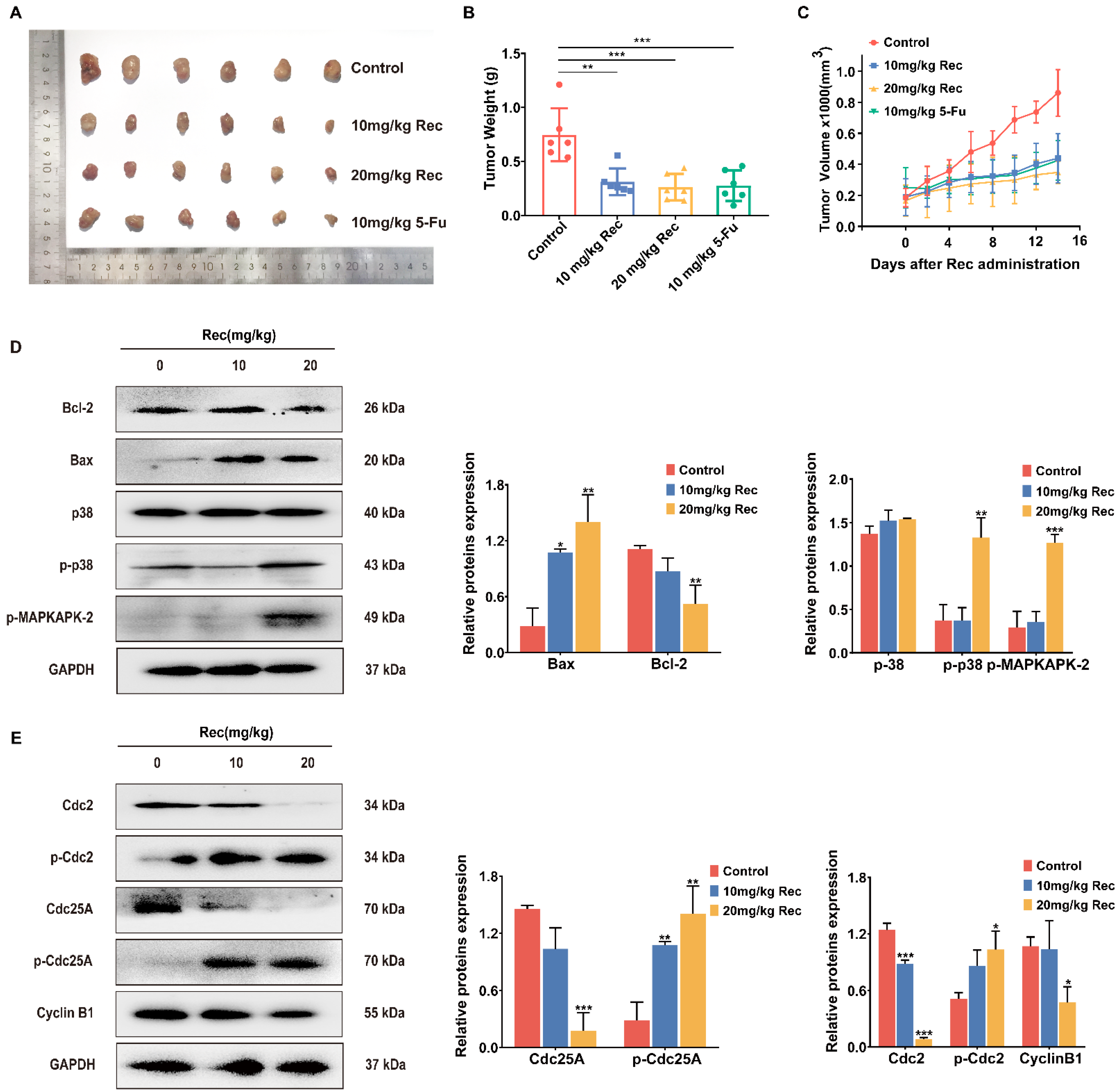 Pharmaceuticals 14 00958 g006