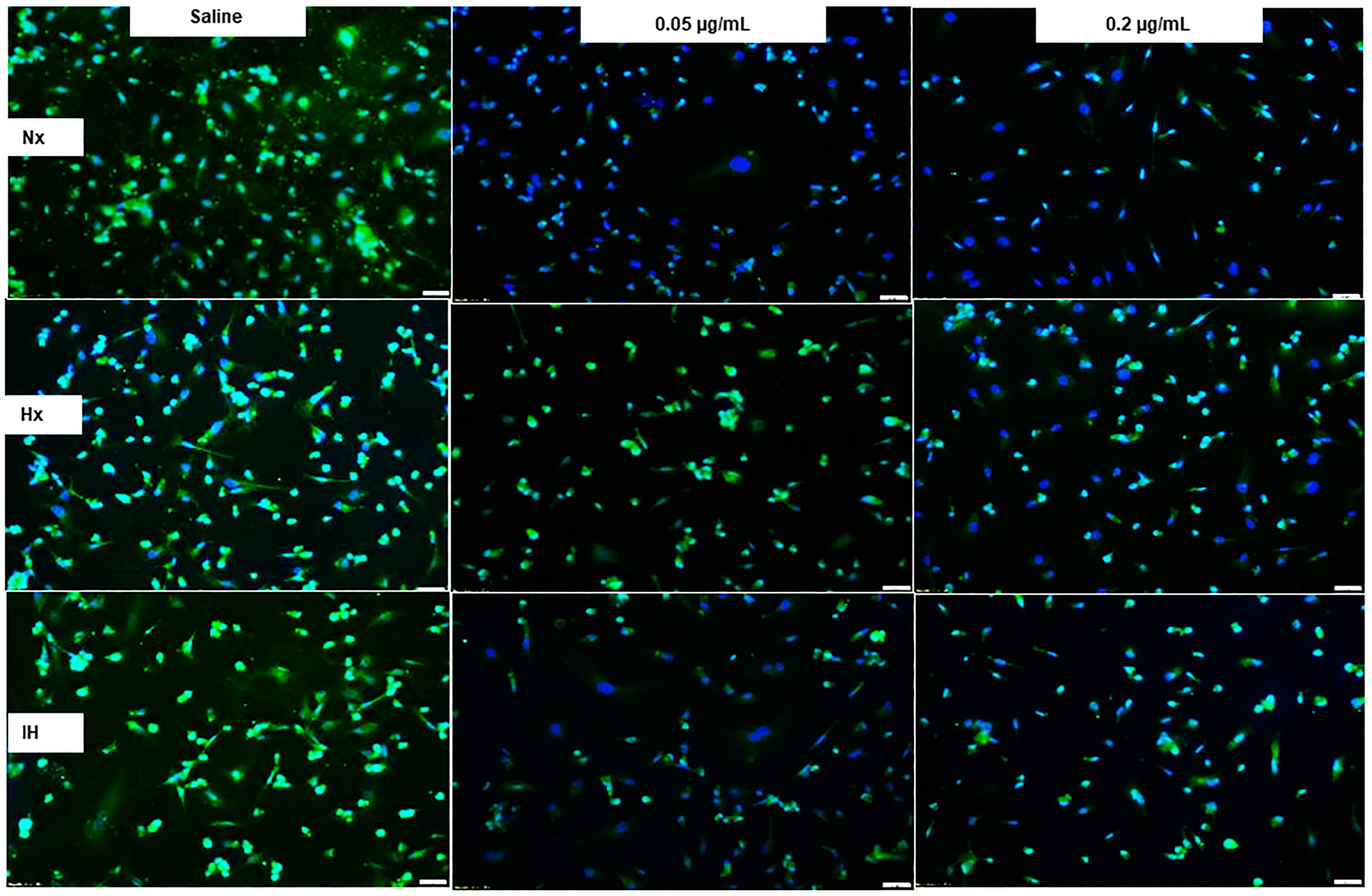 Pharmaceuticals 14 00967 g009
