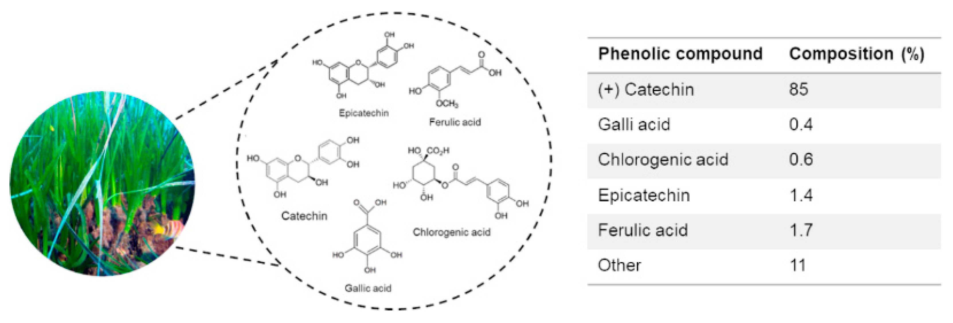 Pharmaceuticals 14 00969 g001
