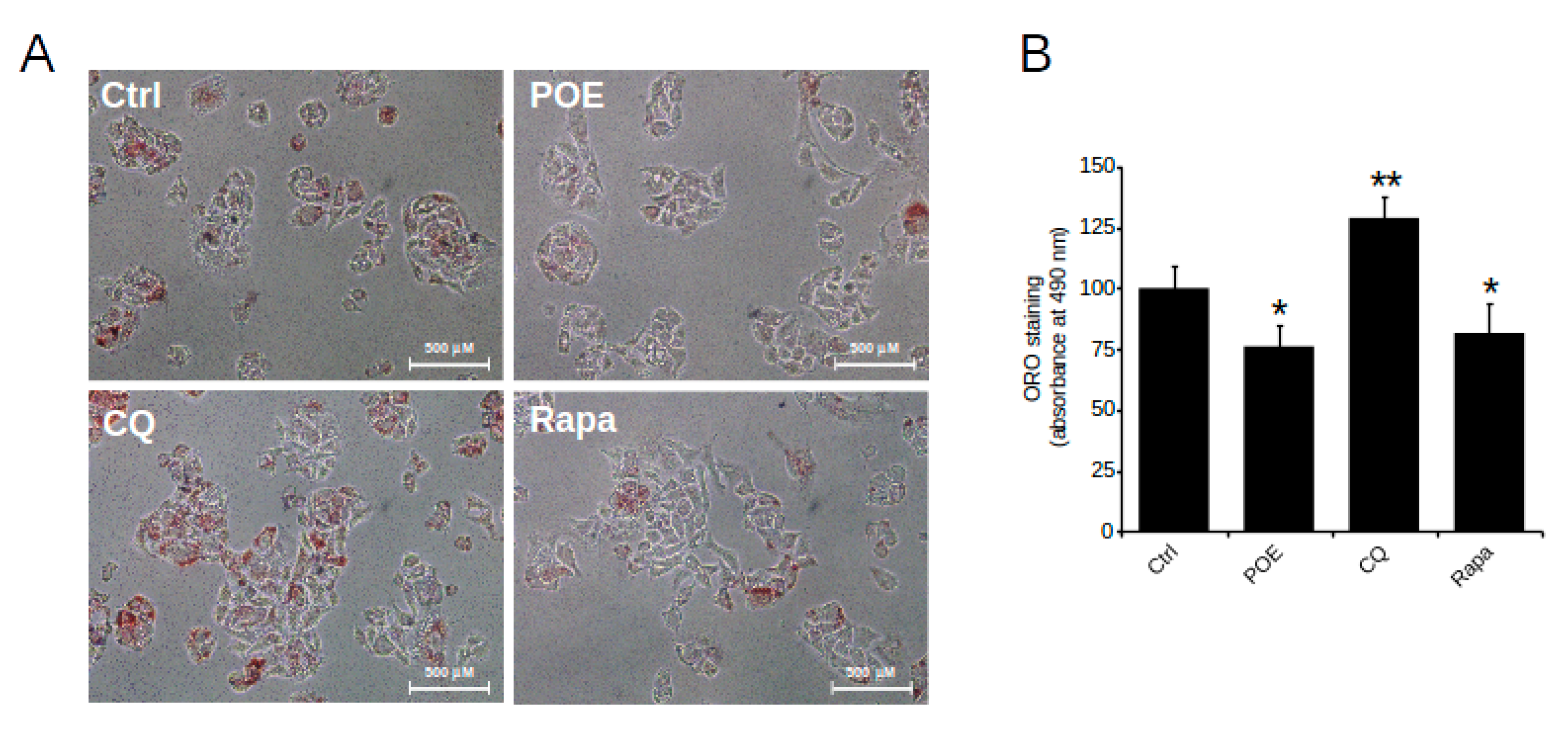 Pharmaceuticals 14 00969 g004
