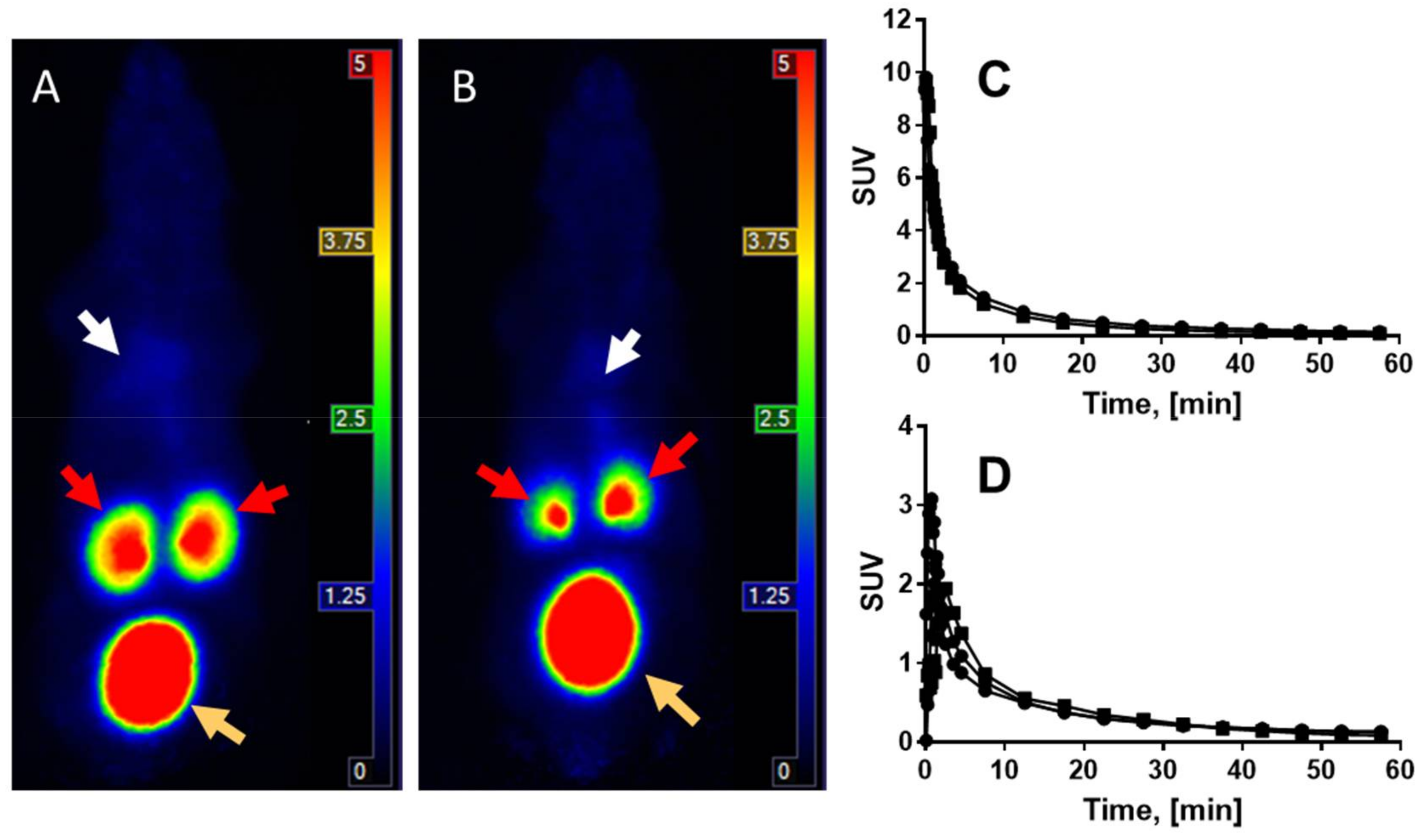 Pharmaceuticals 14 00990 g004