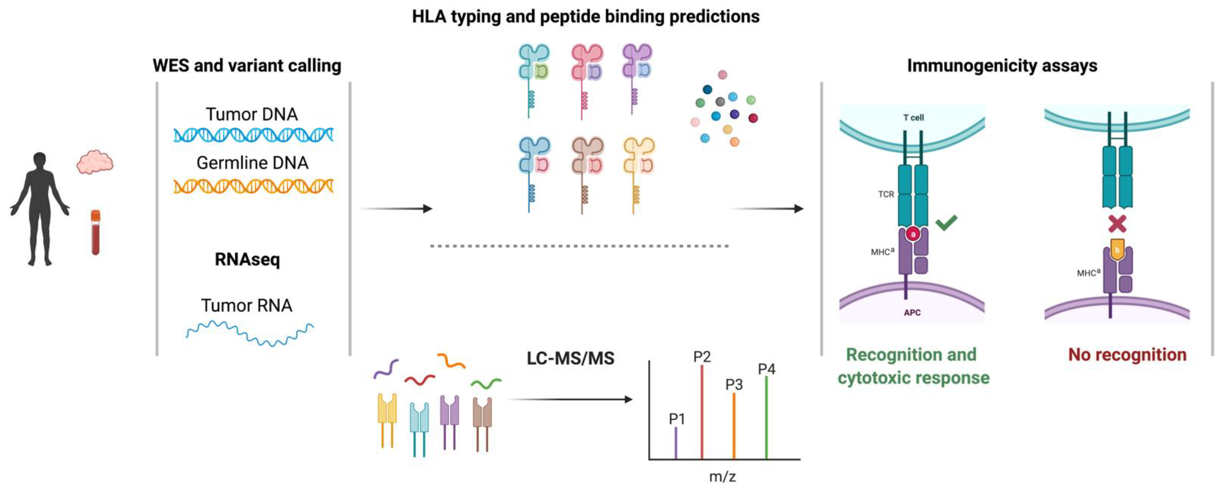 Pharmaceuticals 14 00993 g001