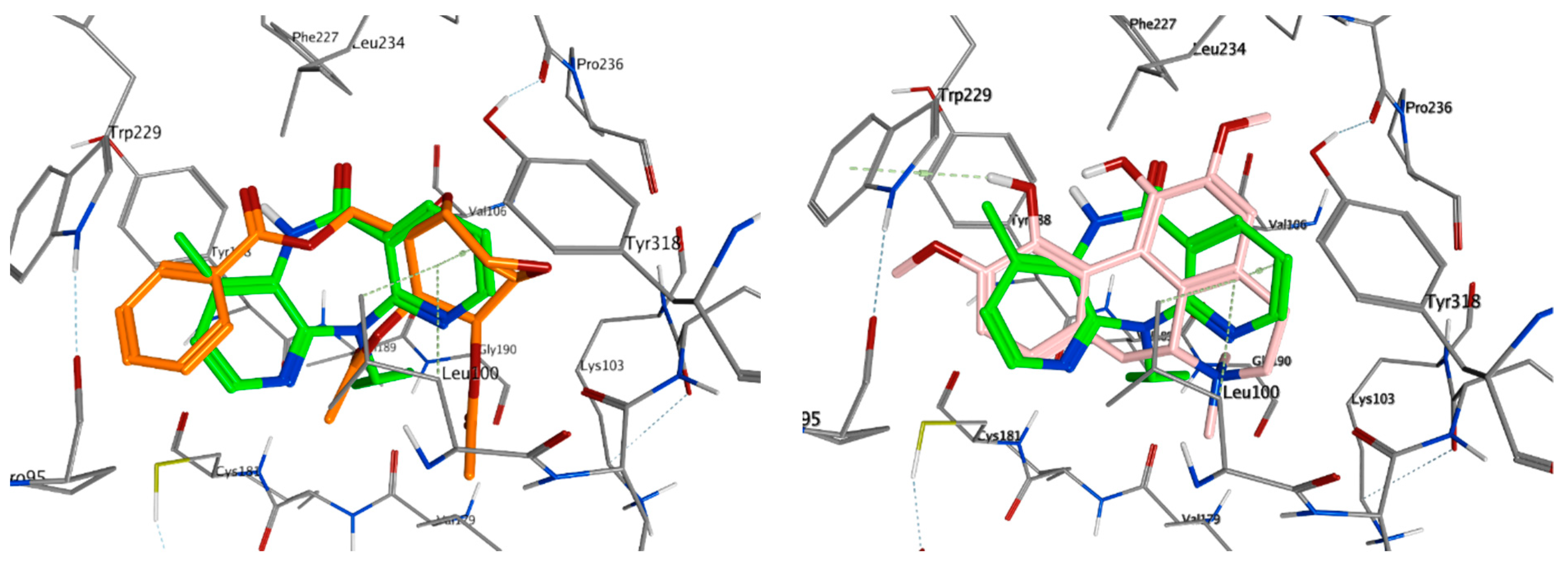 Pharmaceuticals 14 01009 g003