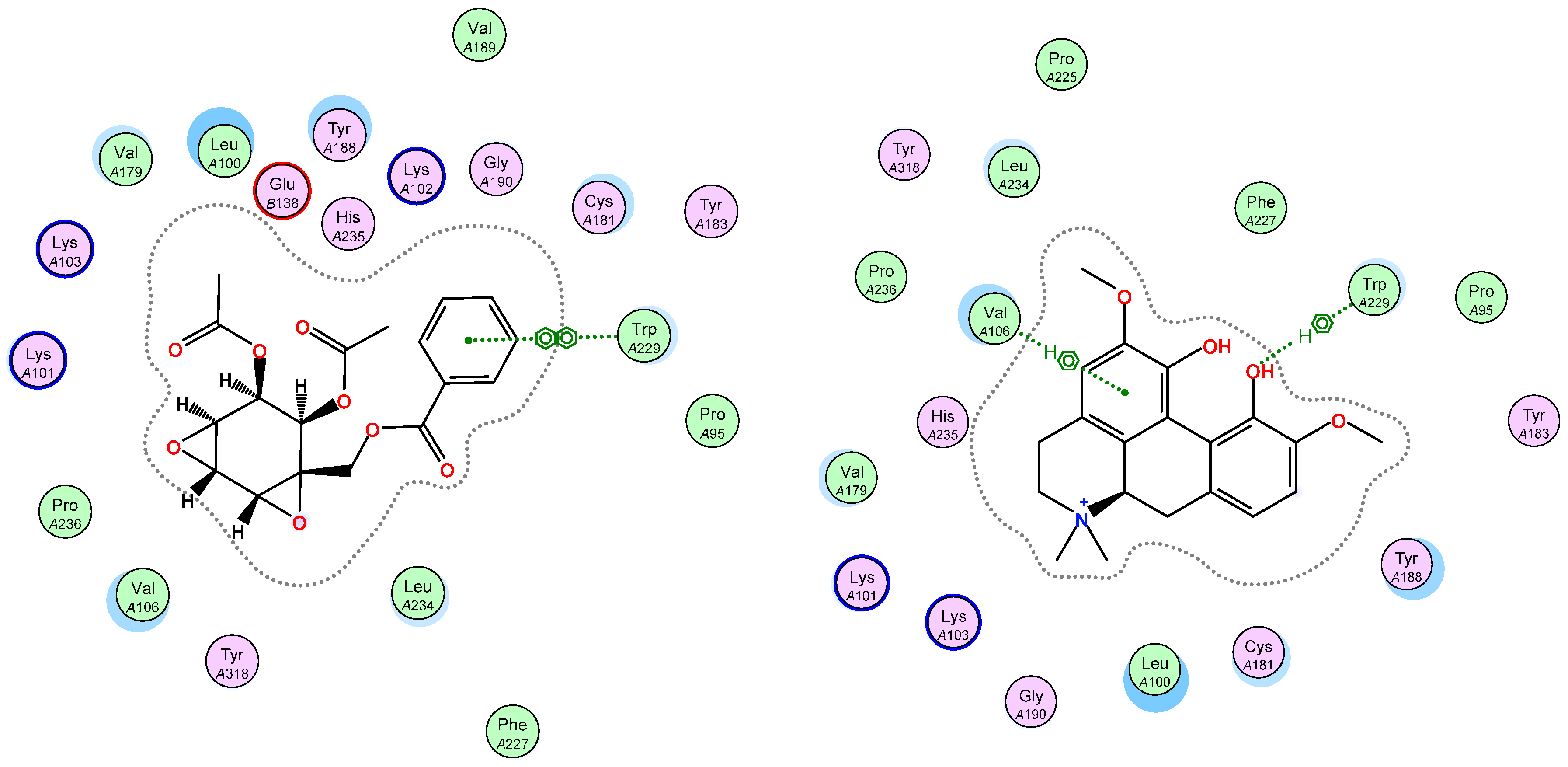 Pharmaceuticals 14 01009 g004