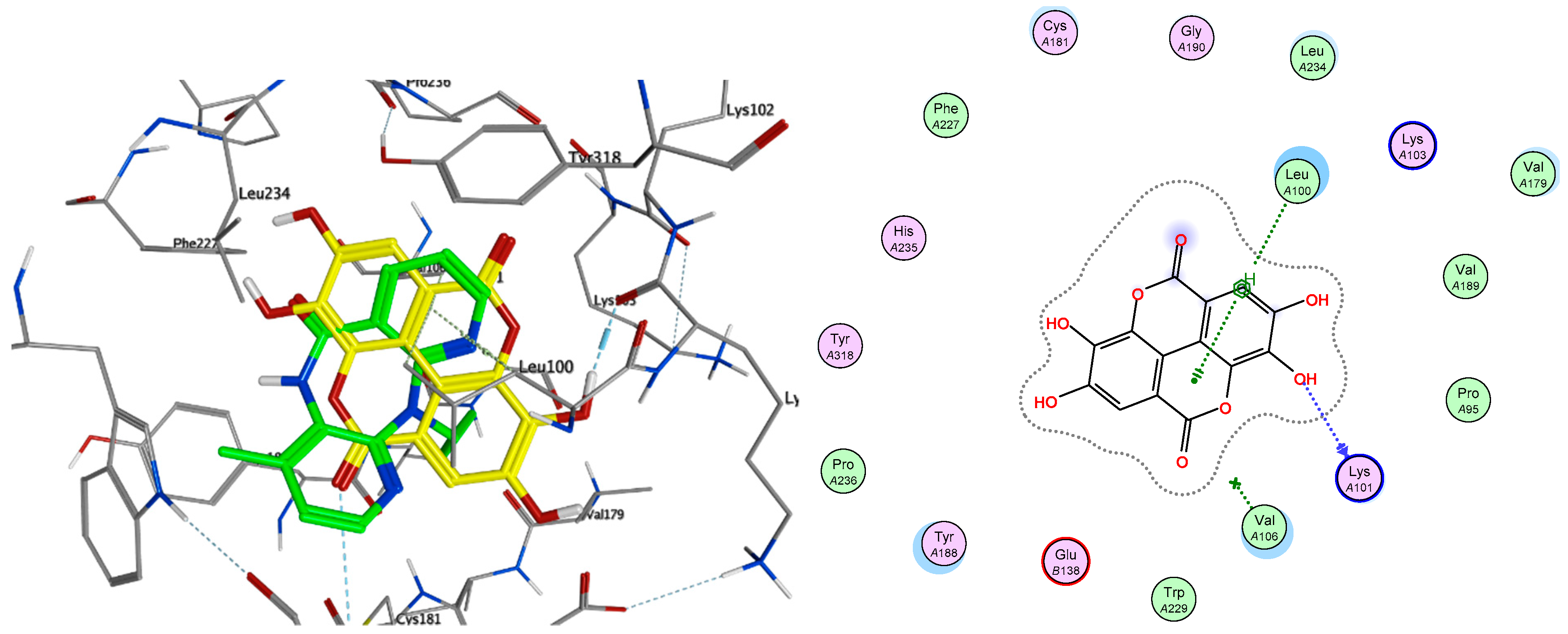 Pharmaceuticals 14 01009 g005
