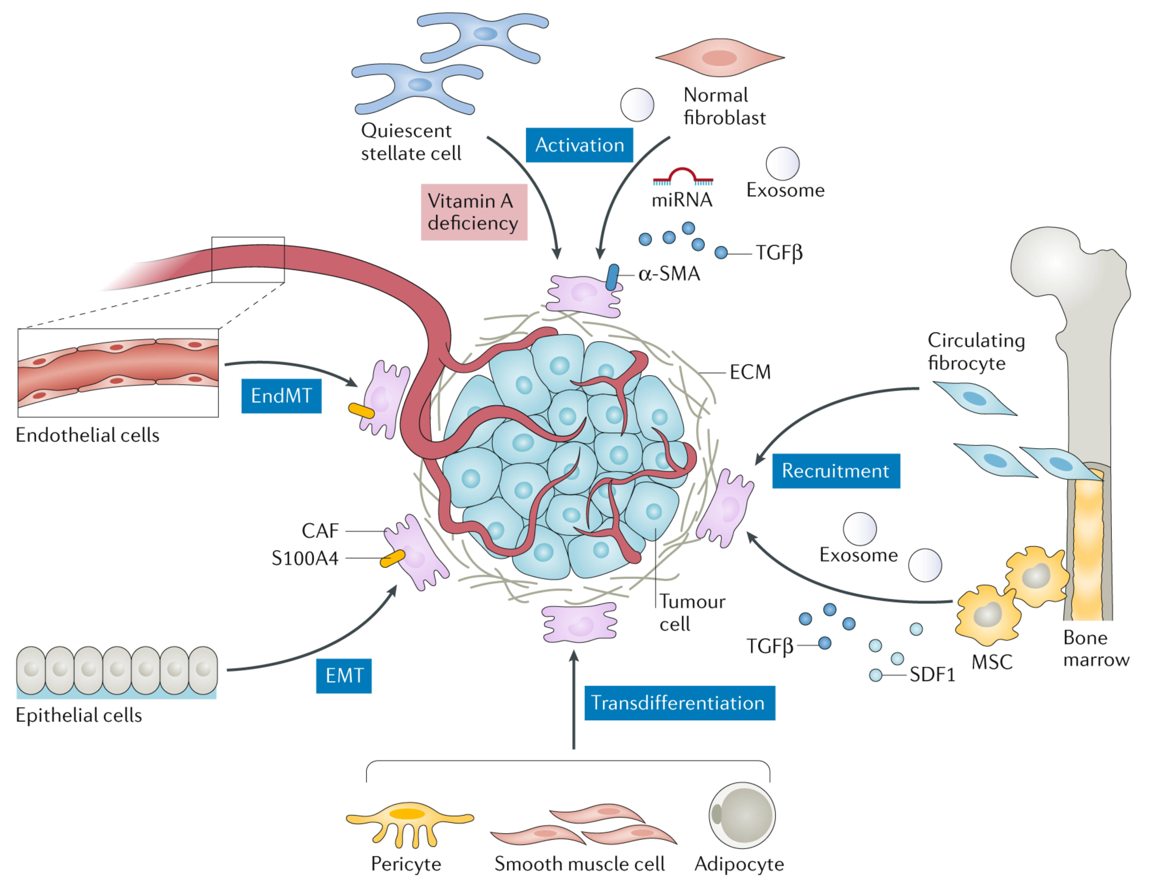 Cancer associated