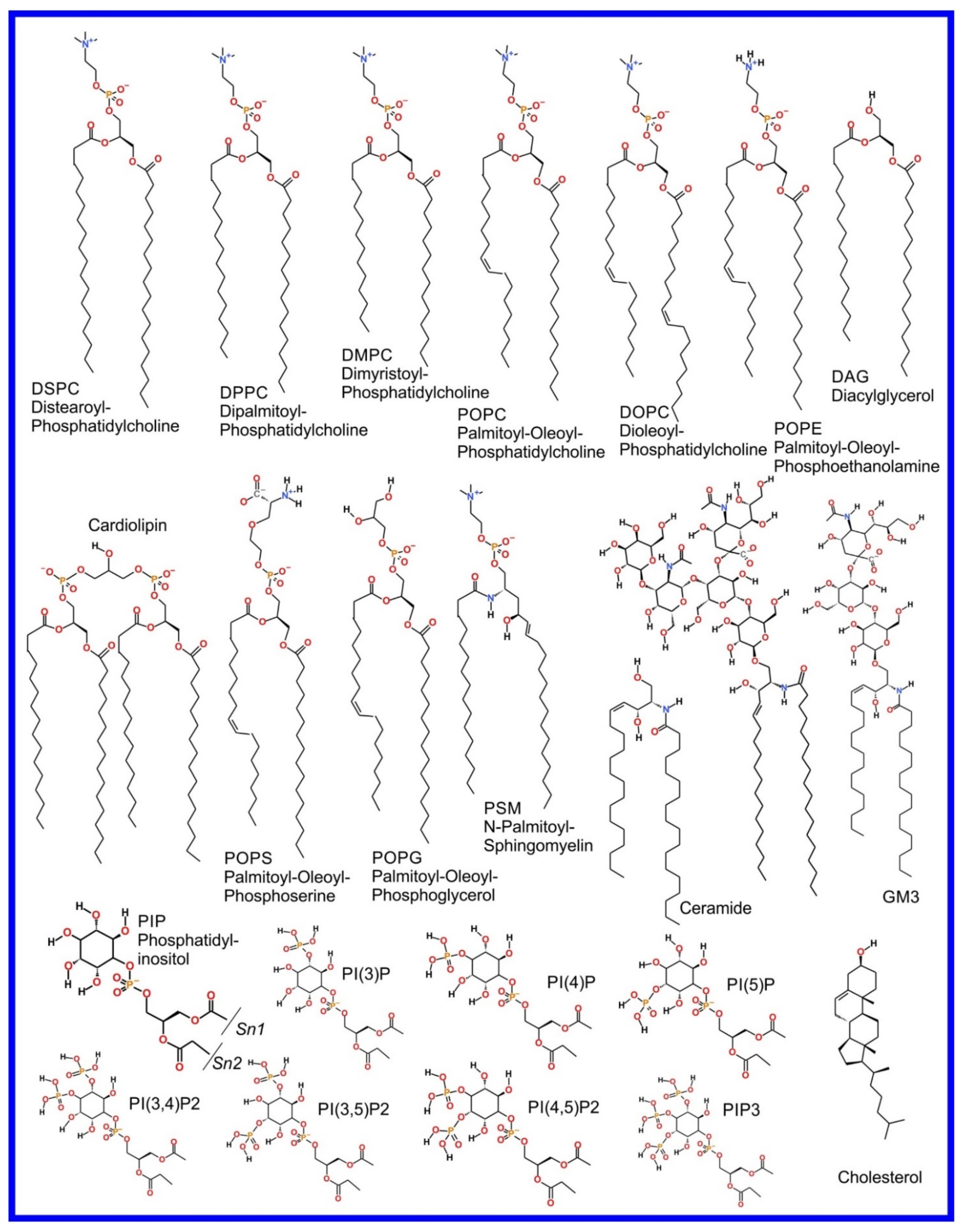 Pharmaceuticals | Free Full-Text | Mechanistic Understanding from Molecular  Dynamics in Pharmaceutical Research 2: Lipid Membrane in Drug Design