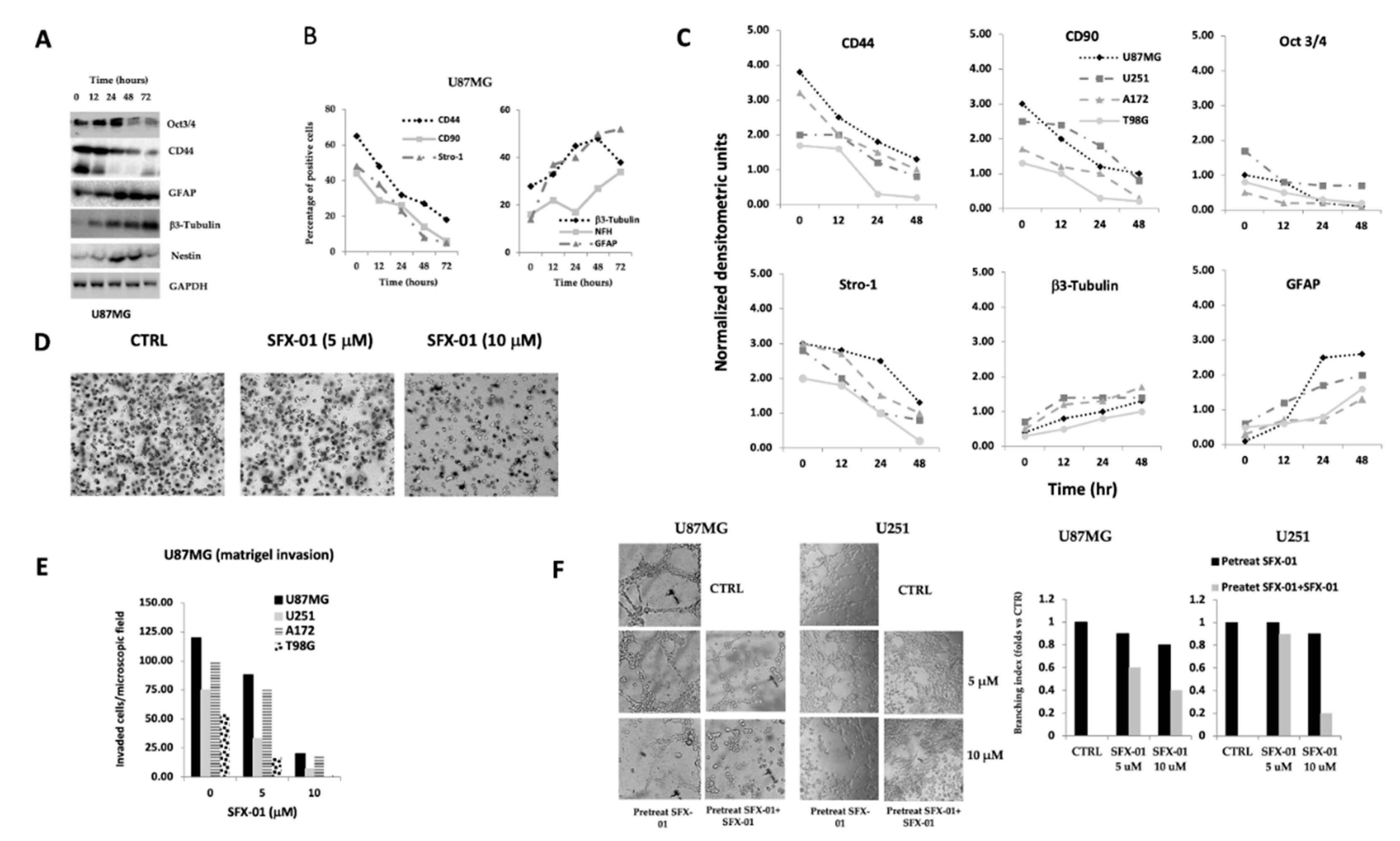 Pharmaceuticals | Free Full-Text | Multiple Antitumor Molecular Mechanisms  Are Activated by a Fully Synthetic and Stabilized Pharmaceutical Product  Delivering the Active Compound Sulforaphane (SFX-01) in Preclinical Model  of Human Glioblastoma