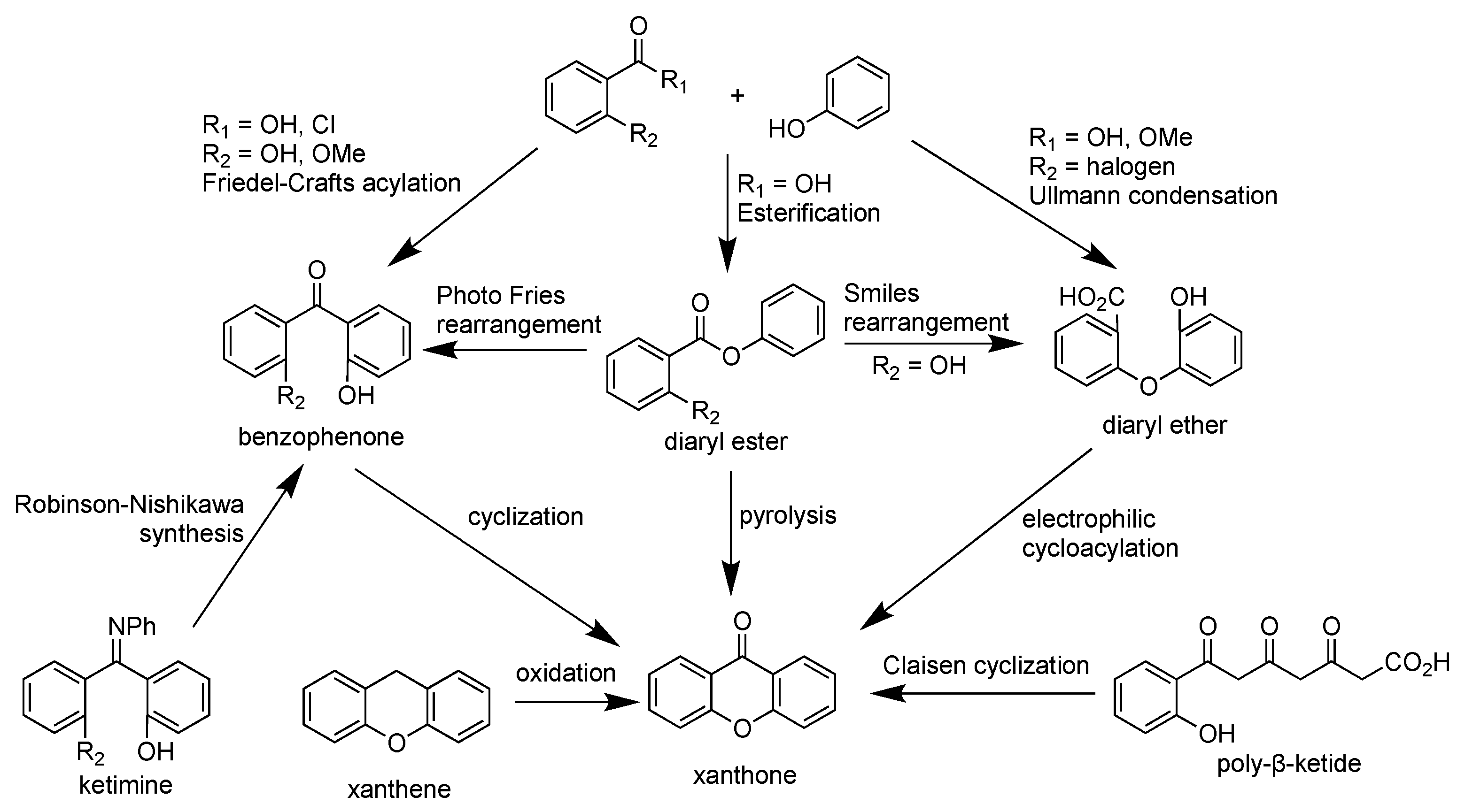 Pharmaceuticals 14 01144 g006