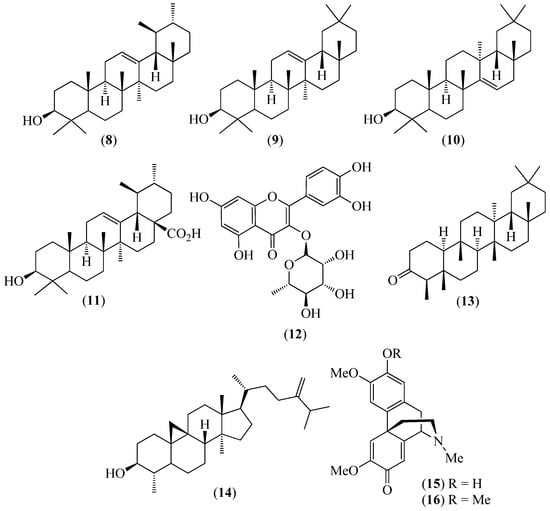 PDF) A Study of the Essential Oil Isolated from Ageratina dendroides  (Spreng.) R.M. King & H. Rob.: Chemical Composition, Enantiomeric  Distribution, and Antimicrobial, Antioxidant, and Anticholinesterase  Activities