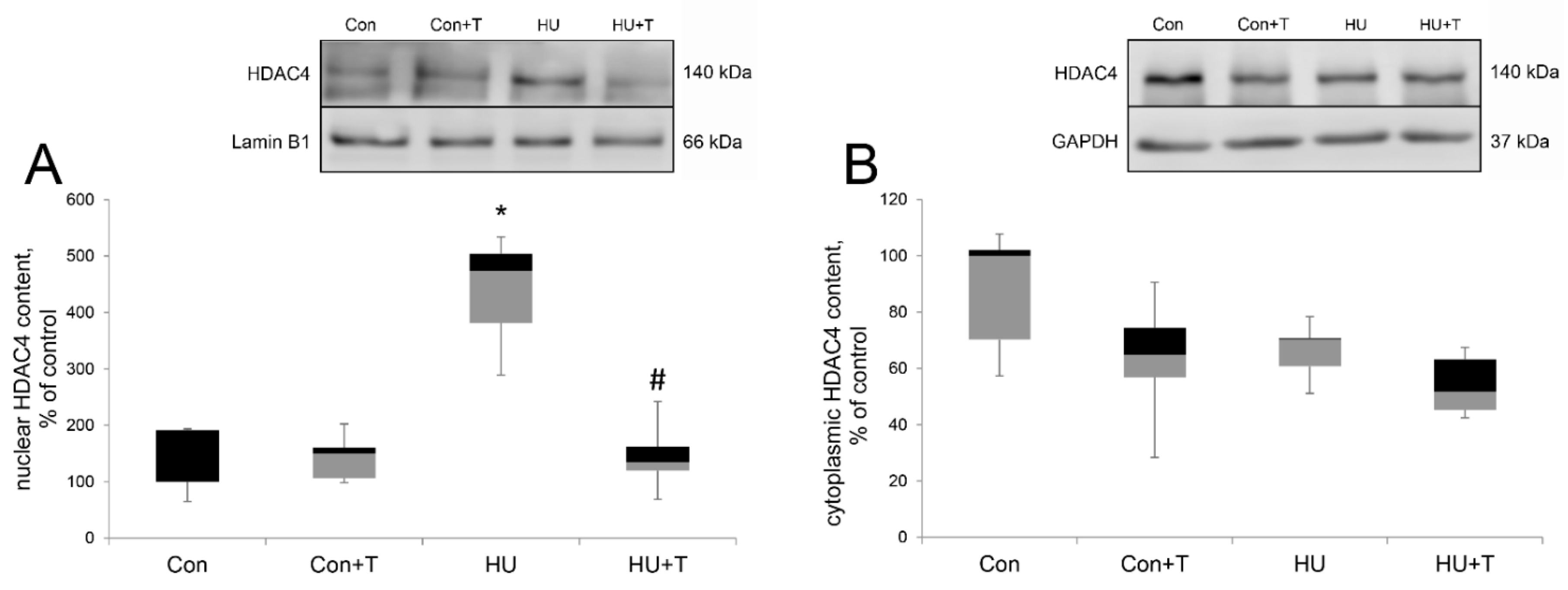 HDAC4 Is Indispensable for Reduced Slow Myosin Expression at the Early ...