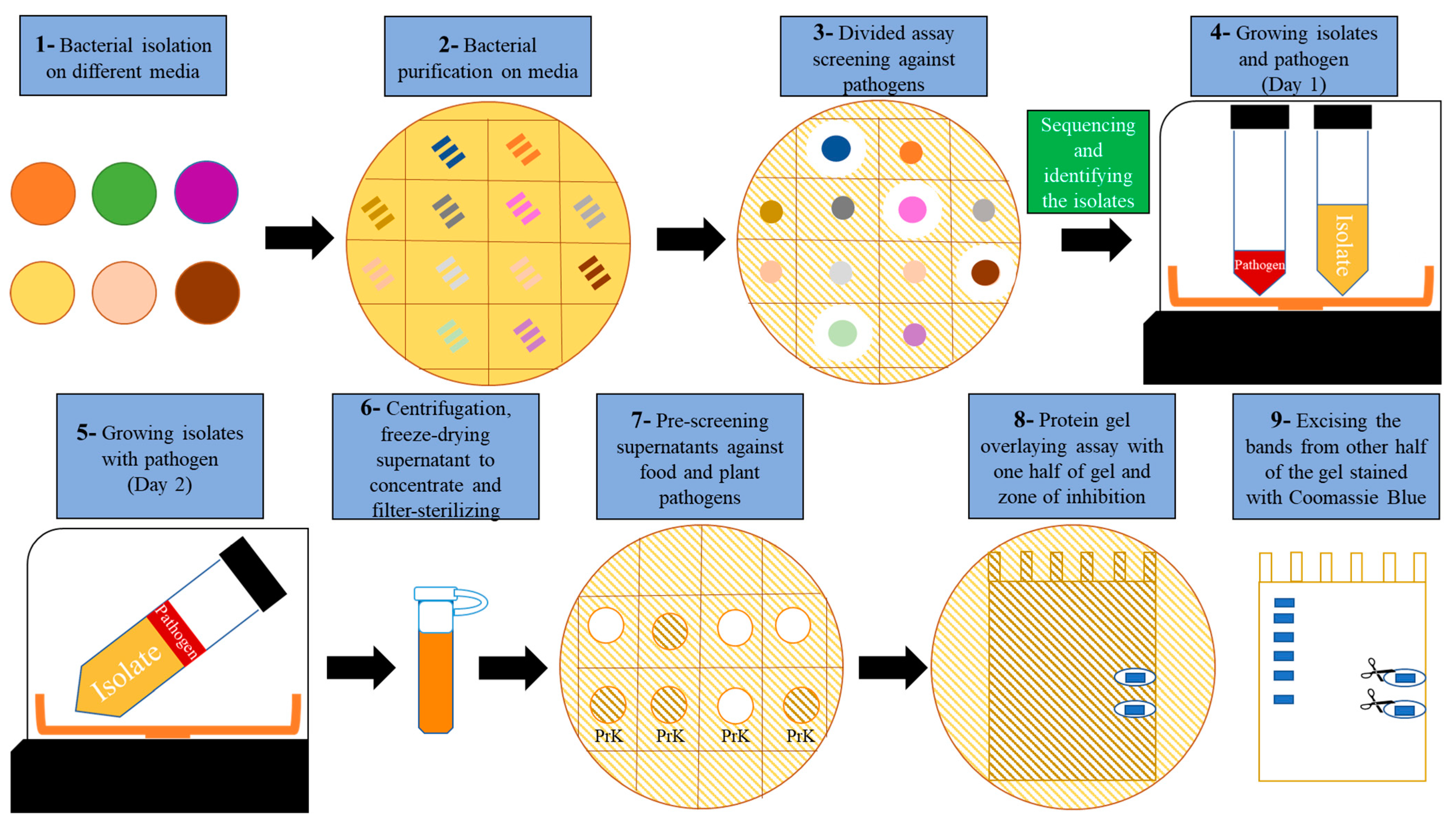 Pharmaceuticals 14 01232 g001