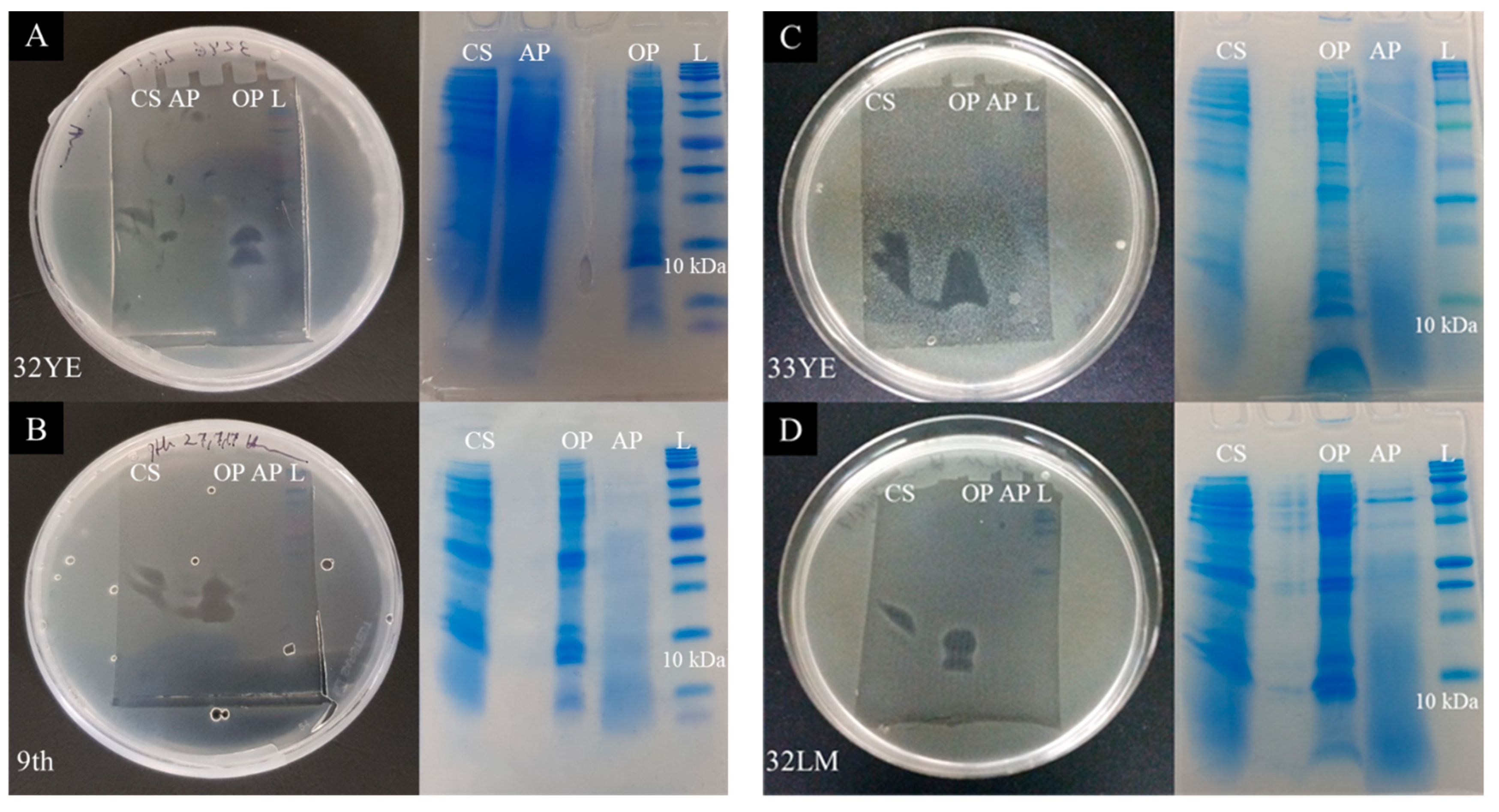 Pharmaceuticals 14 01232 g002a