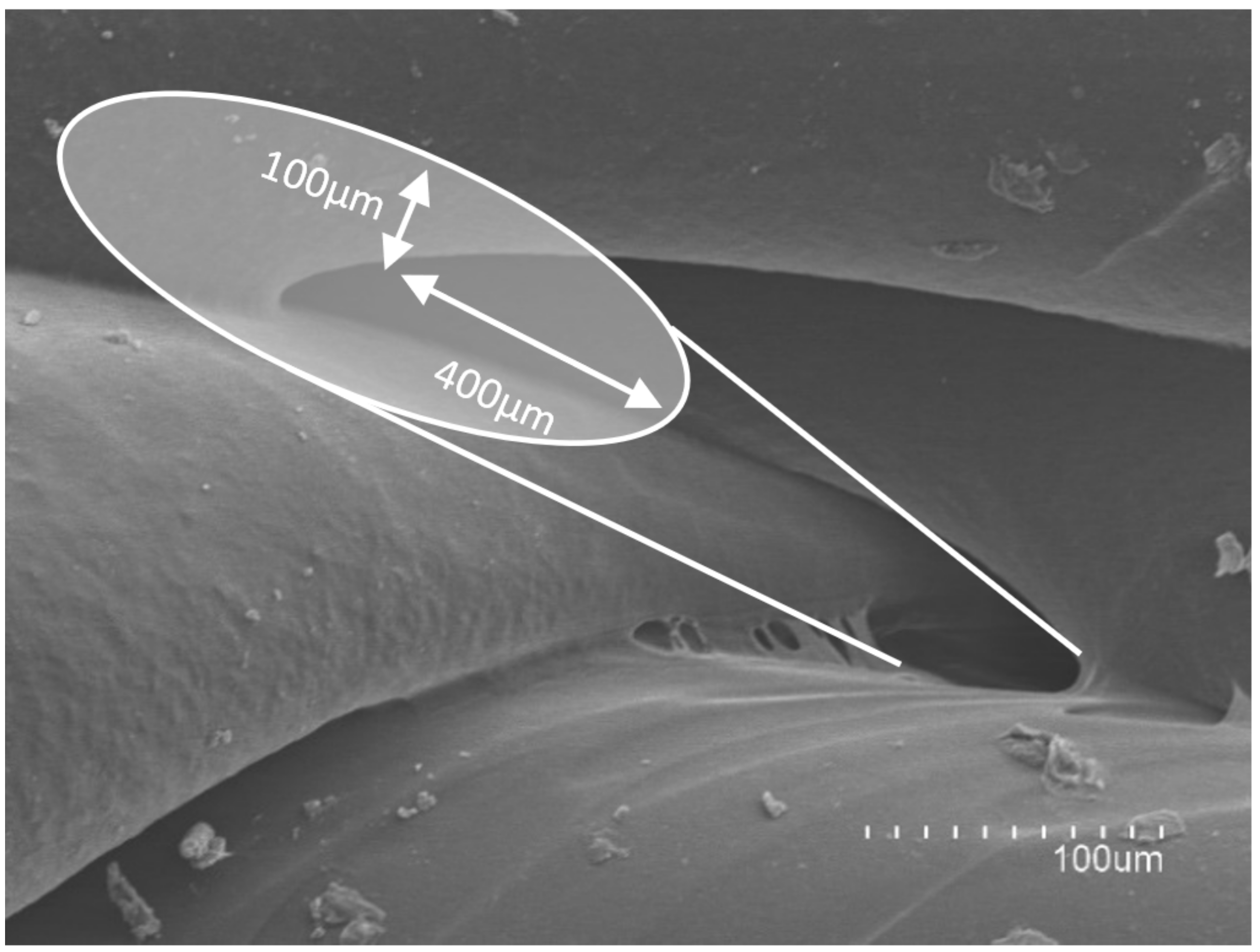Pharmaceuticals 14 01240 g008