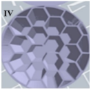 Pharmaceuticals 14 01240 i004