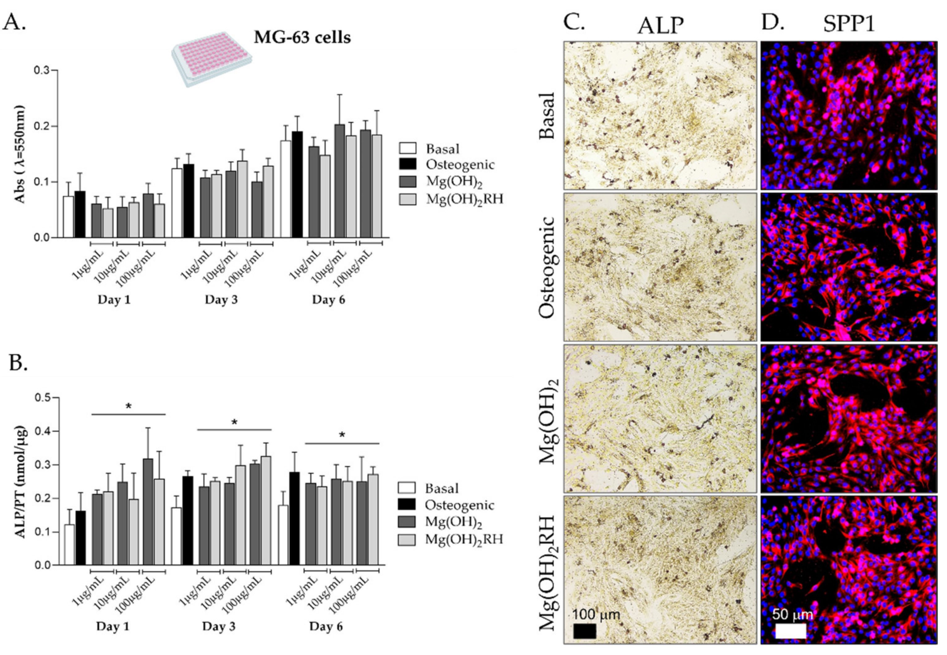Pharmaceuticals 14 01281 g002 Pharmaceuticals 14 01281 g002