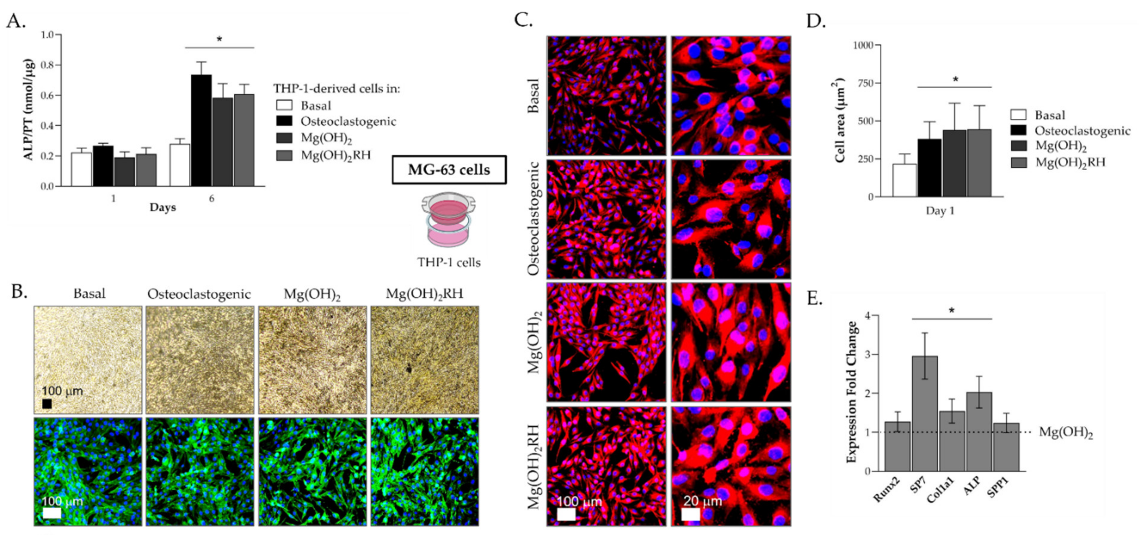 Pharmaceuticals 14 01281 g004 Pharmaceuticals 14 01281 g004