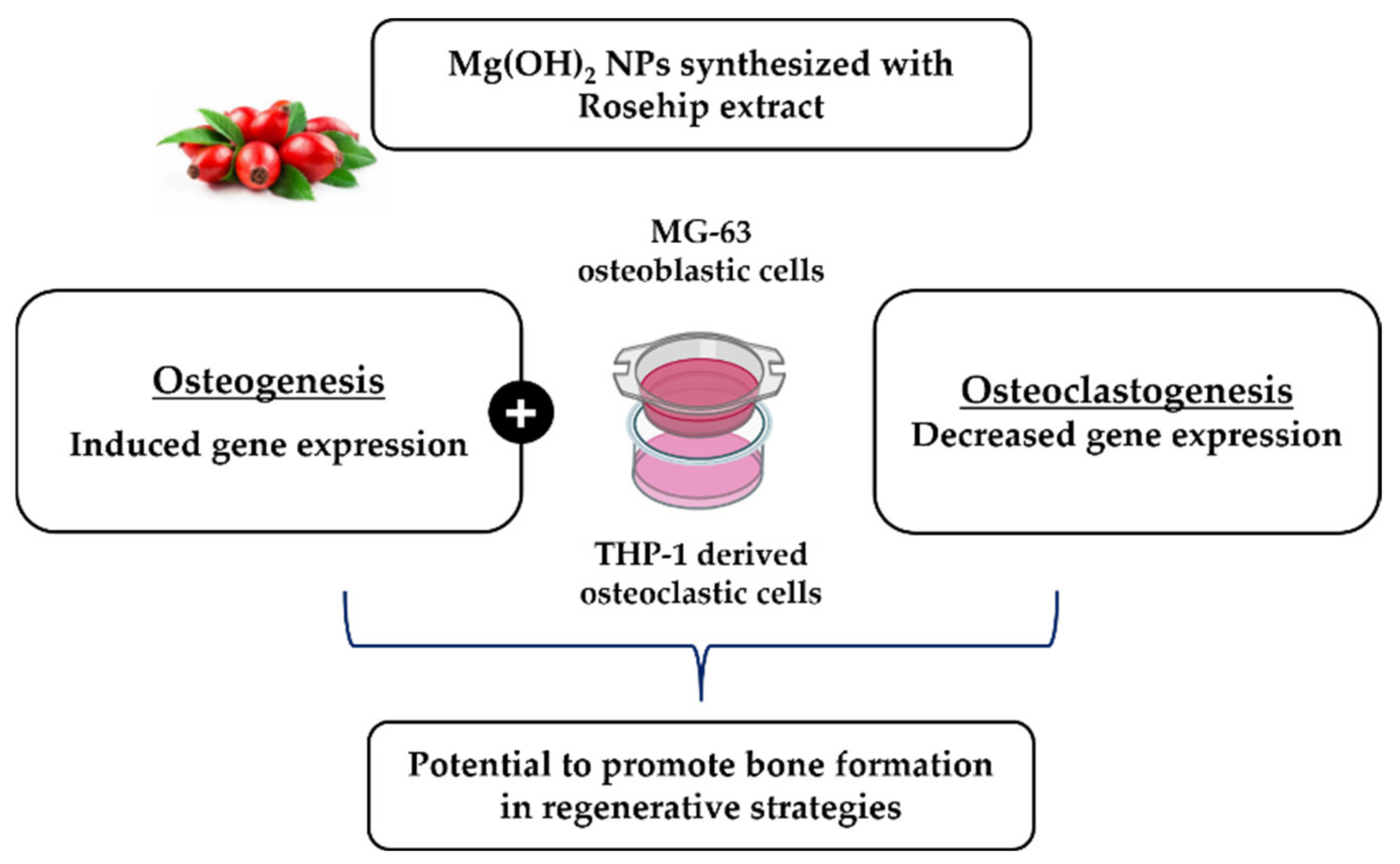Pharmaceuticals 14 01281 g007 Pharmaceuticals 14 01281 g007