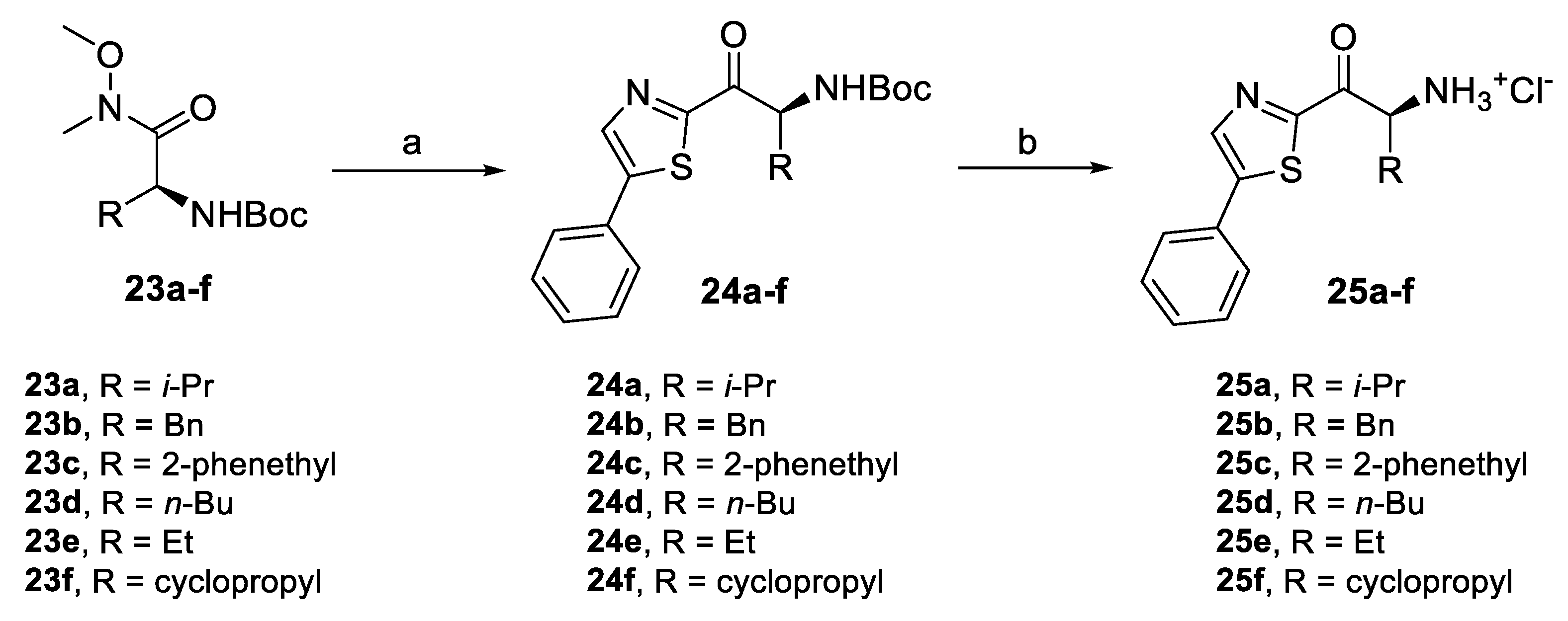 Pharmaceuticals 14 01291 g008