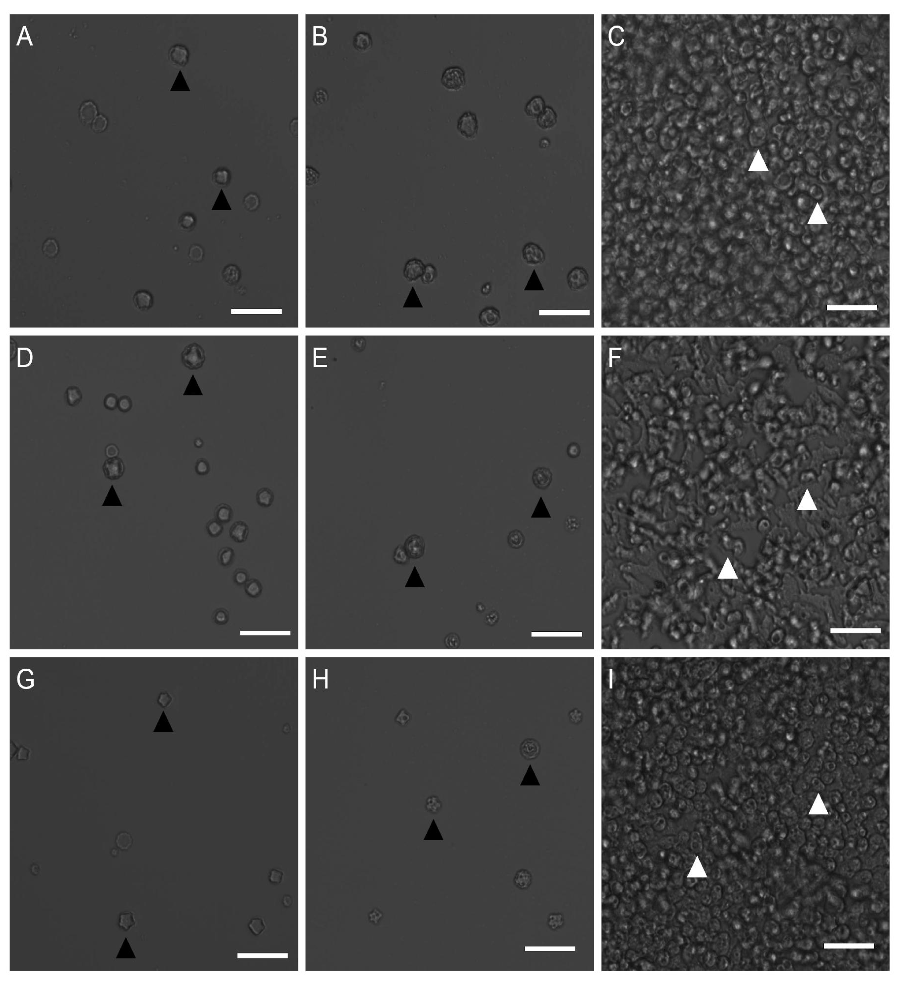 Pharmaceuticals 14 01294 g002