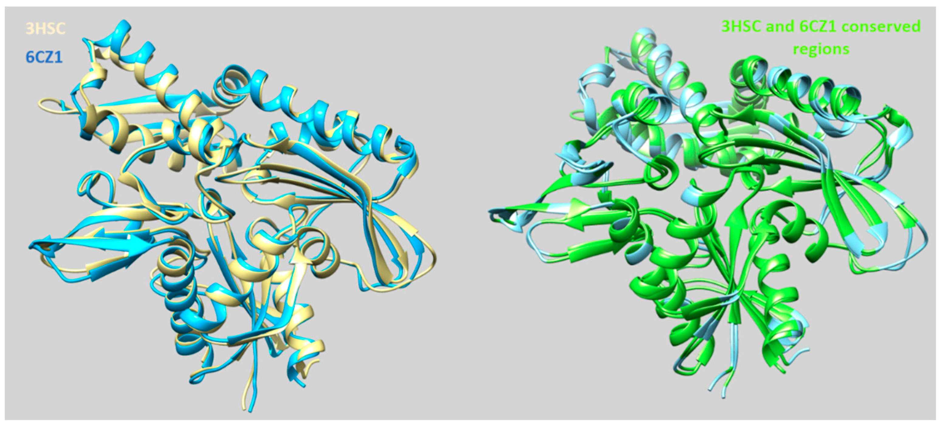 Pharmaceuticals 14 01296 g004 Pharmaceuticals 14 01296 g004