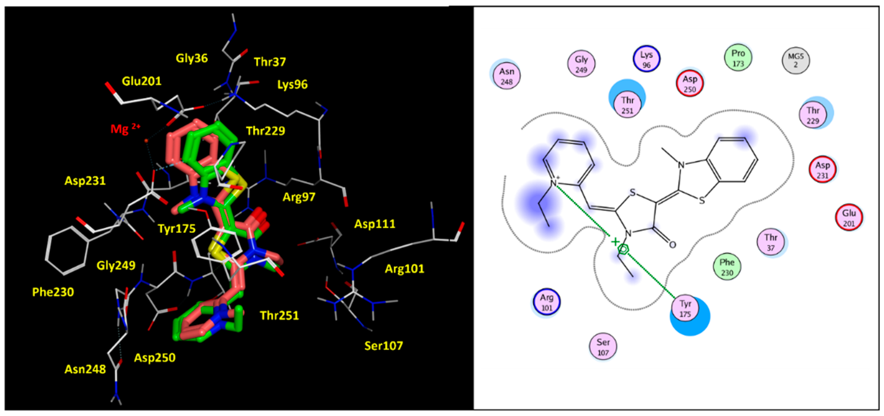 Pharmaceuticals 14 01296 g005 Pharmaceuticals 14 01296 g005