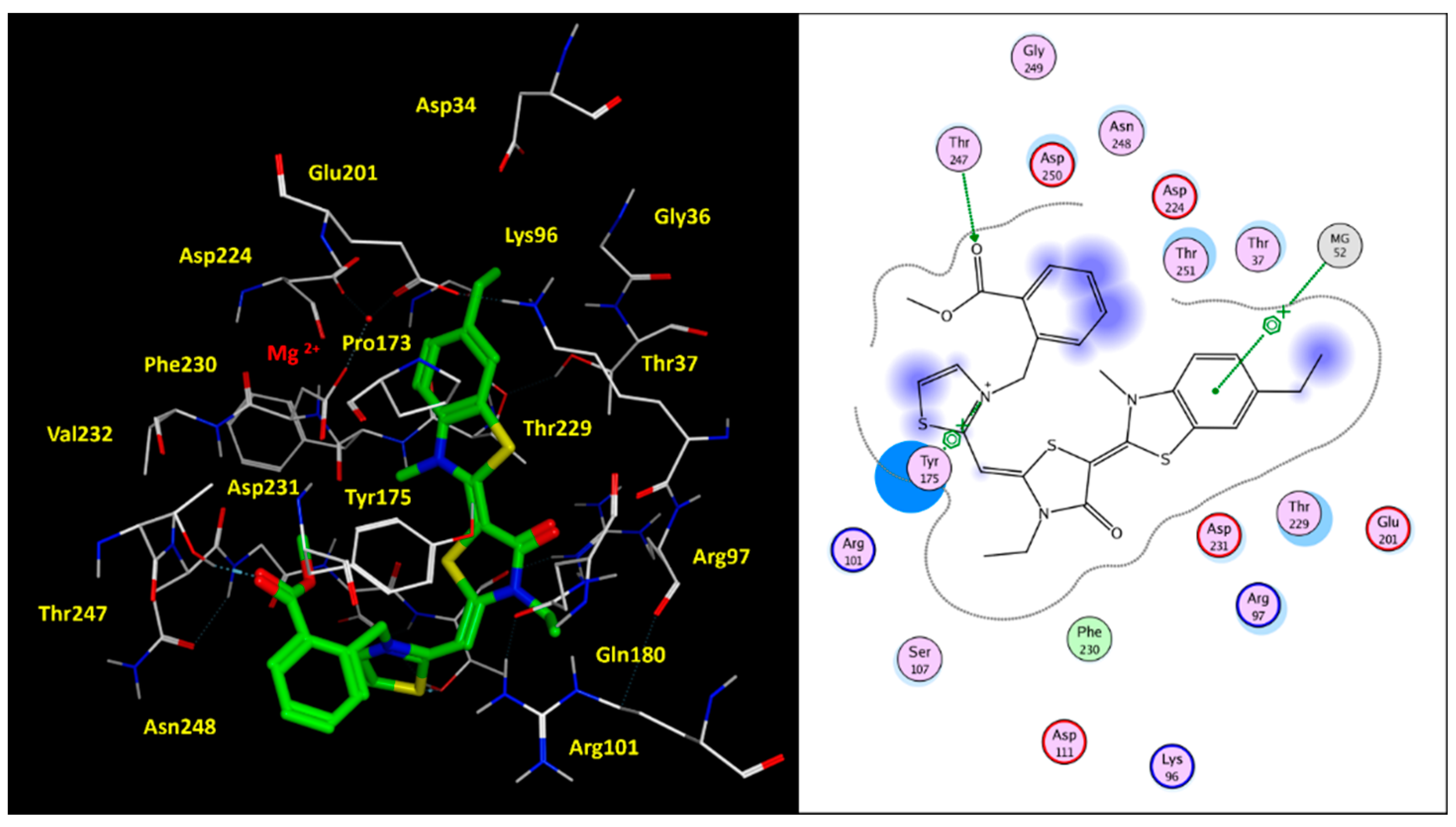 Pharmaceuticals 14 01296 g008 Pharmaceuticals 14 01296 g008