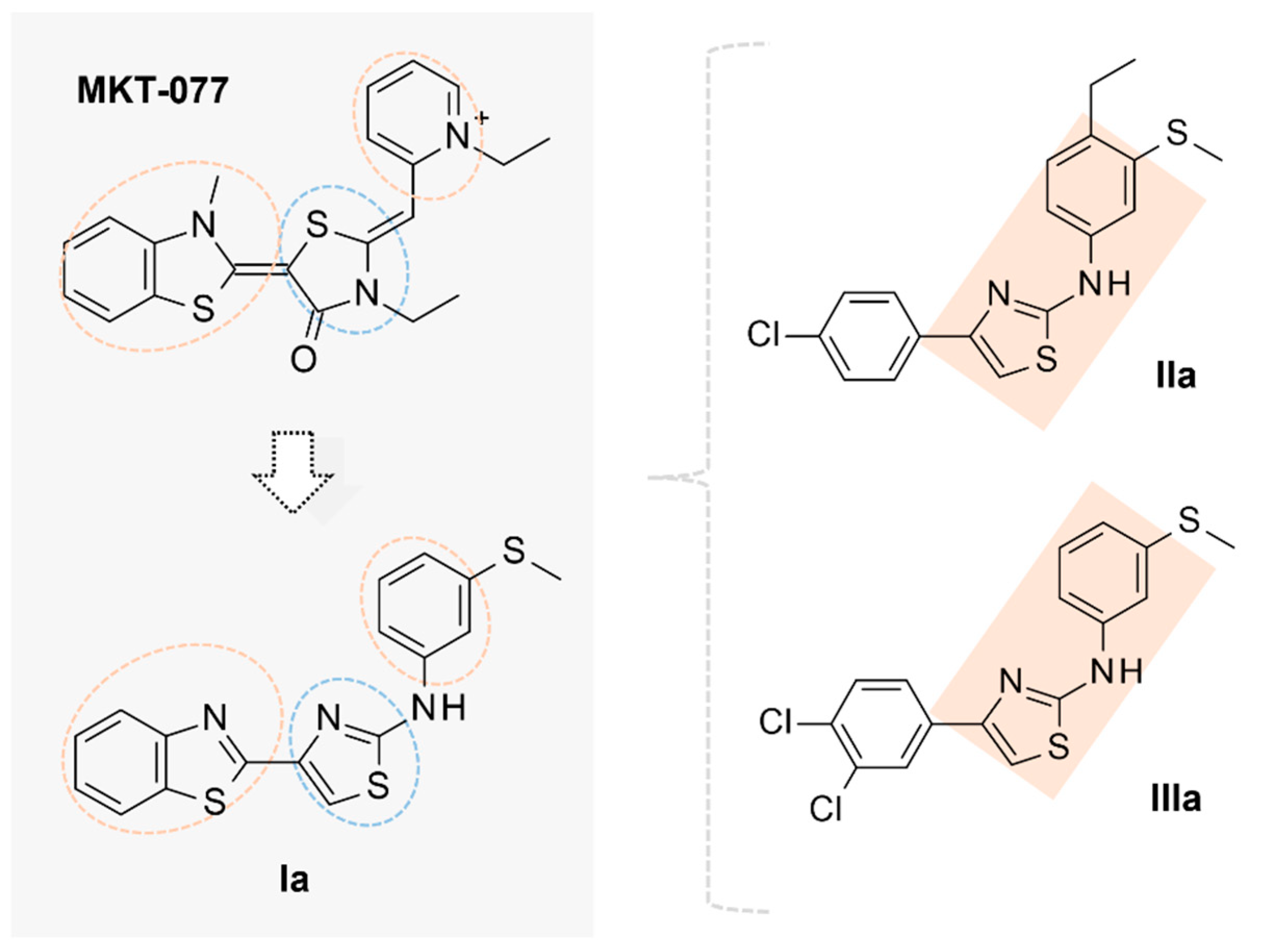 Pharmaceuticals 14 01296 g011 Pharmaceuticals 14 01296 g011