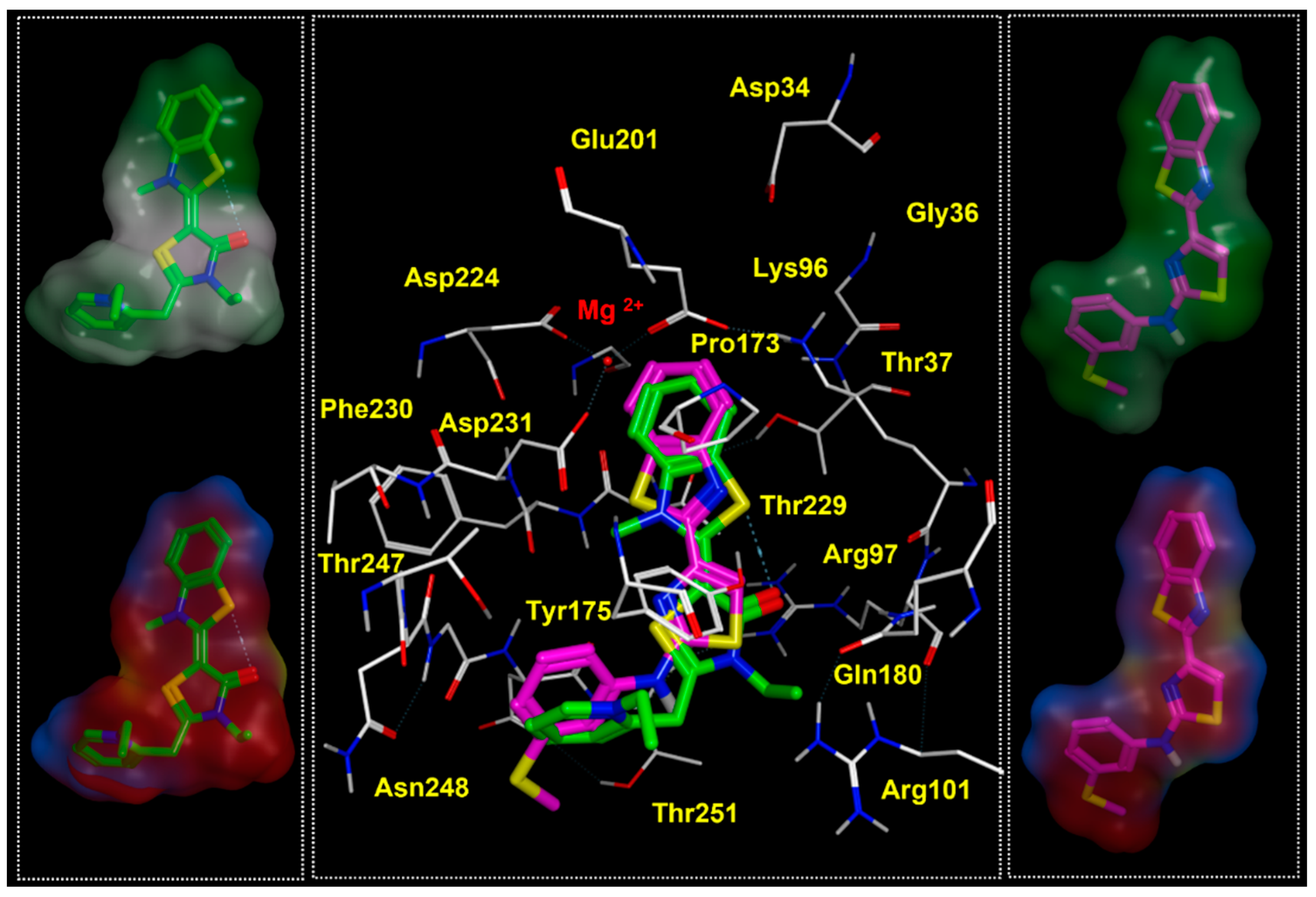 Pharmaceuticals 14 01296 g012 Pharmaceuticals 14 01296 g012