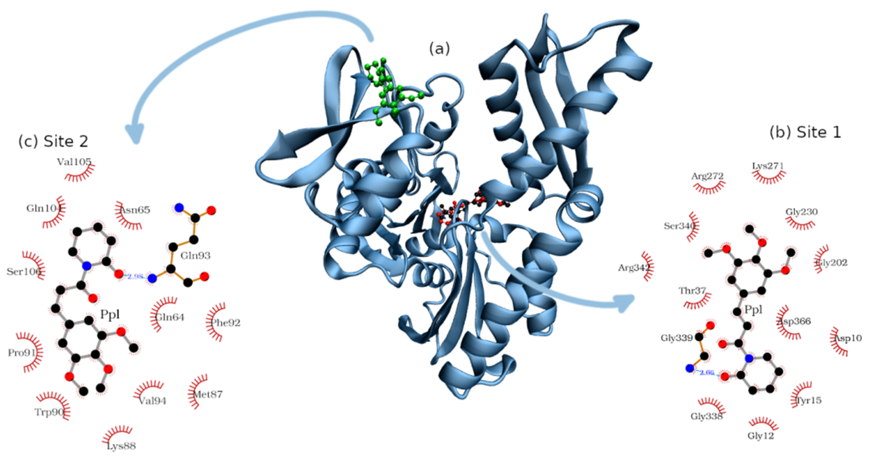 Pharmaceuticals 14 01298 g009