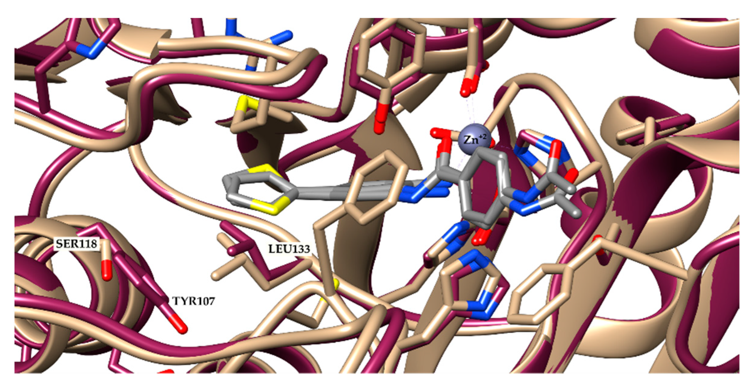 Pharmaceuticals 14 01308 g003
