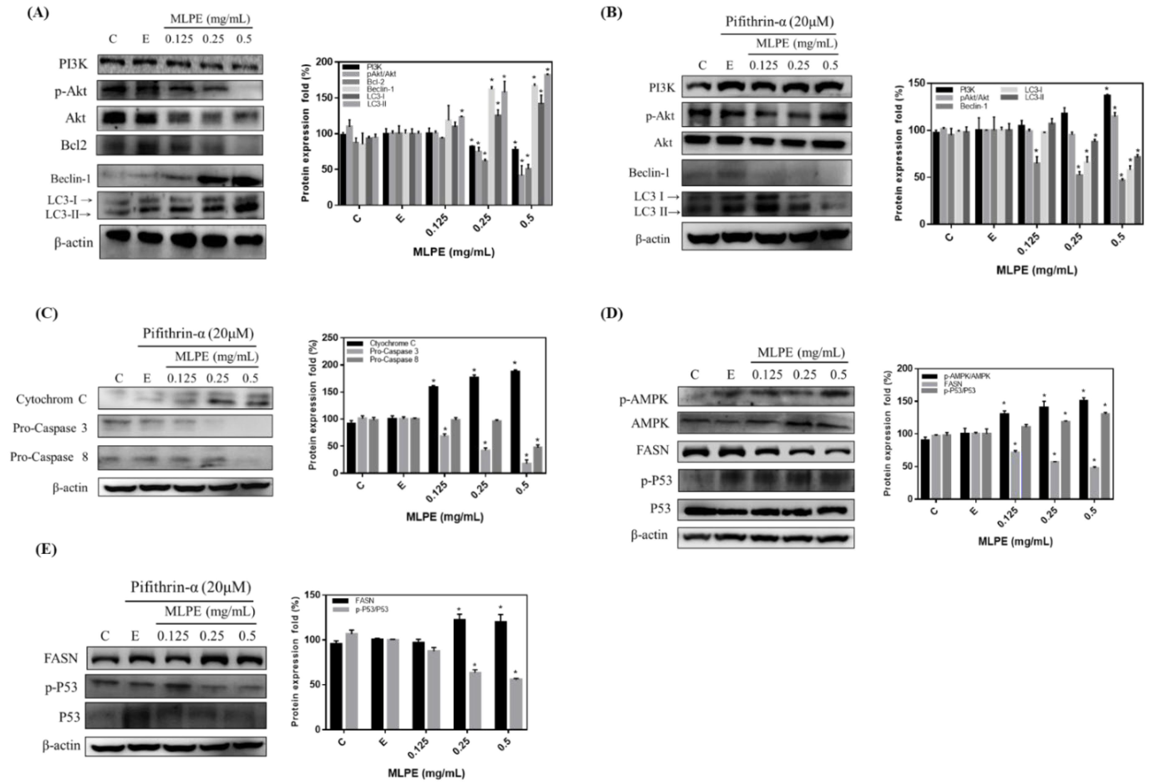 Pharmaceuticals 14 01310 g003