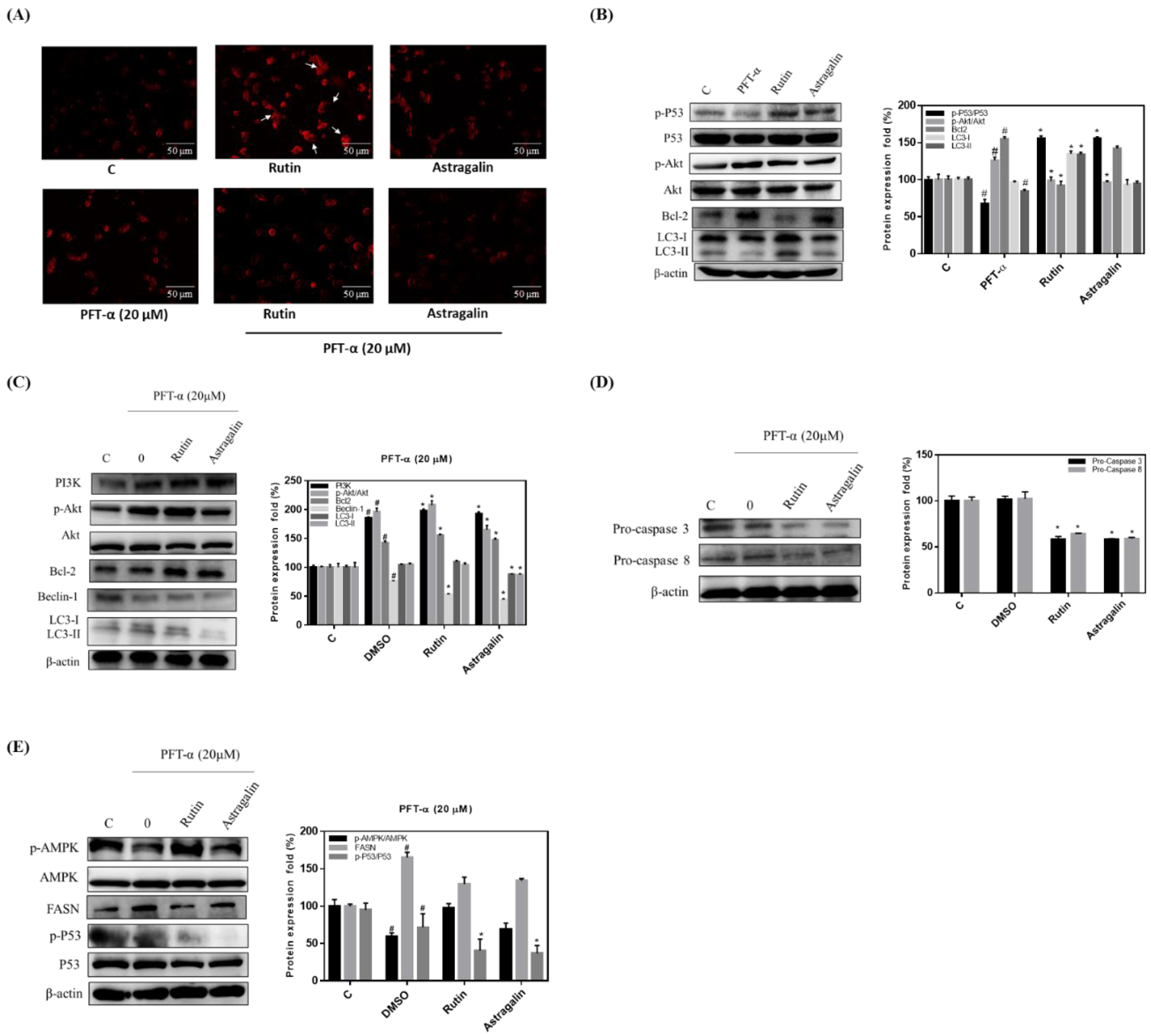 Pharmaceuticals 14 01310 g004