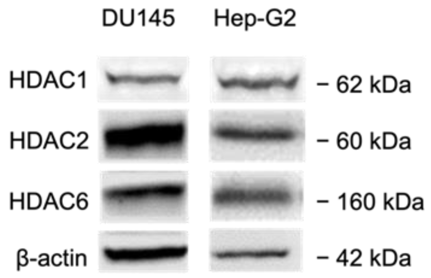 Pharmaceuticals 14 01319 g008 Pharmaceuticals 14 01319 g008