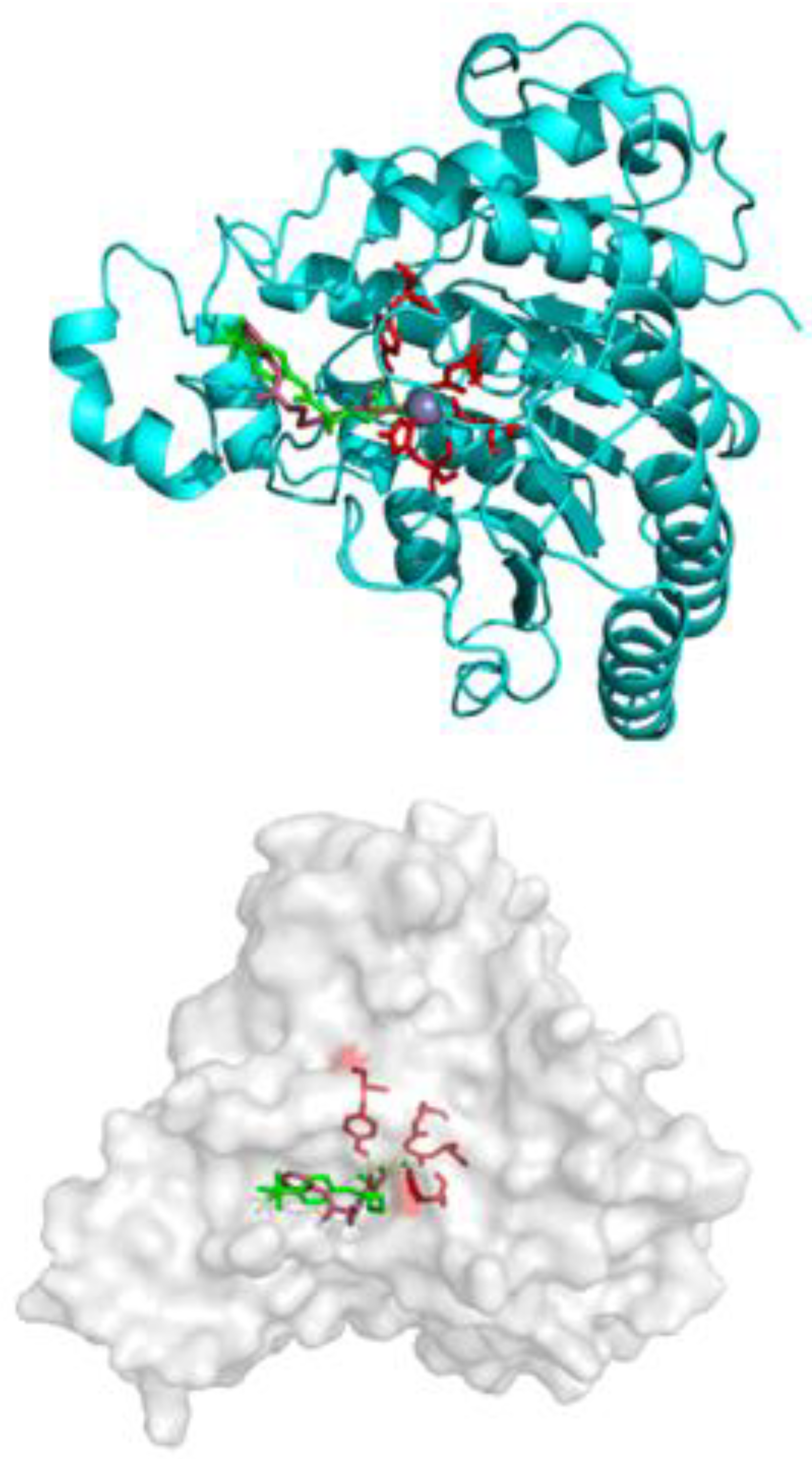 Pharmaceuticals 14 01319 g009 Pharmaceuticals 14 01319 g009