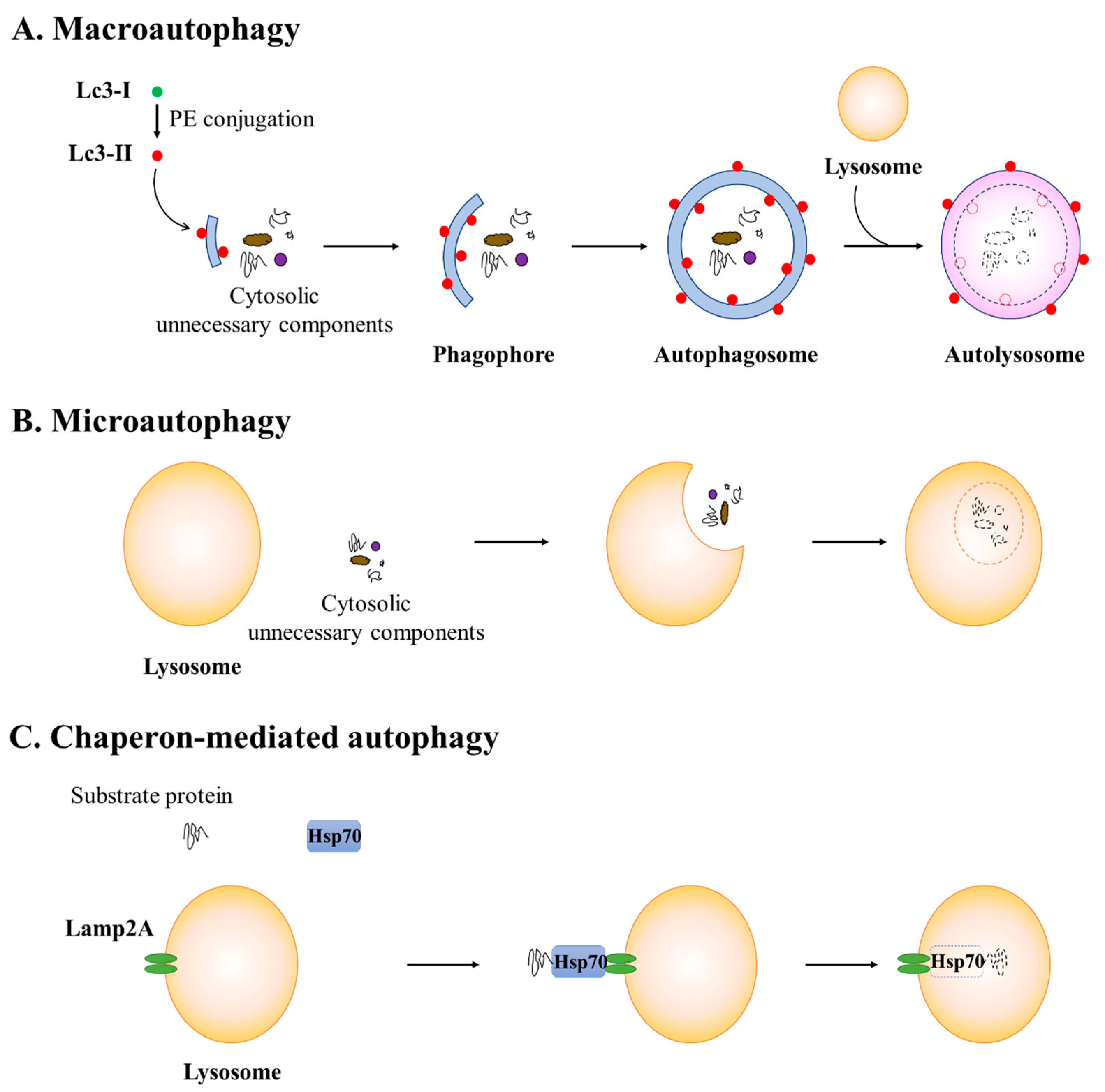 Pharmaceuticals 15 00053 g001