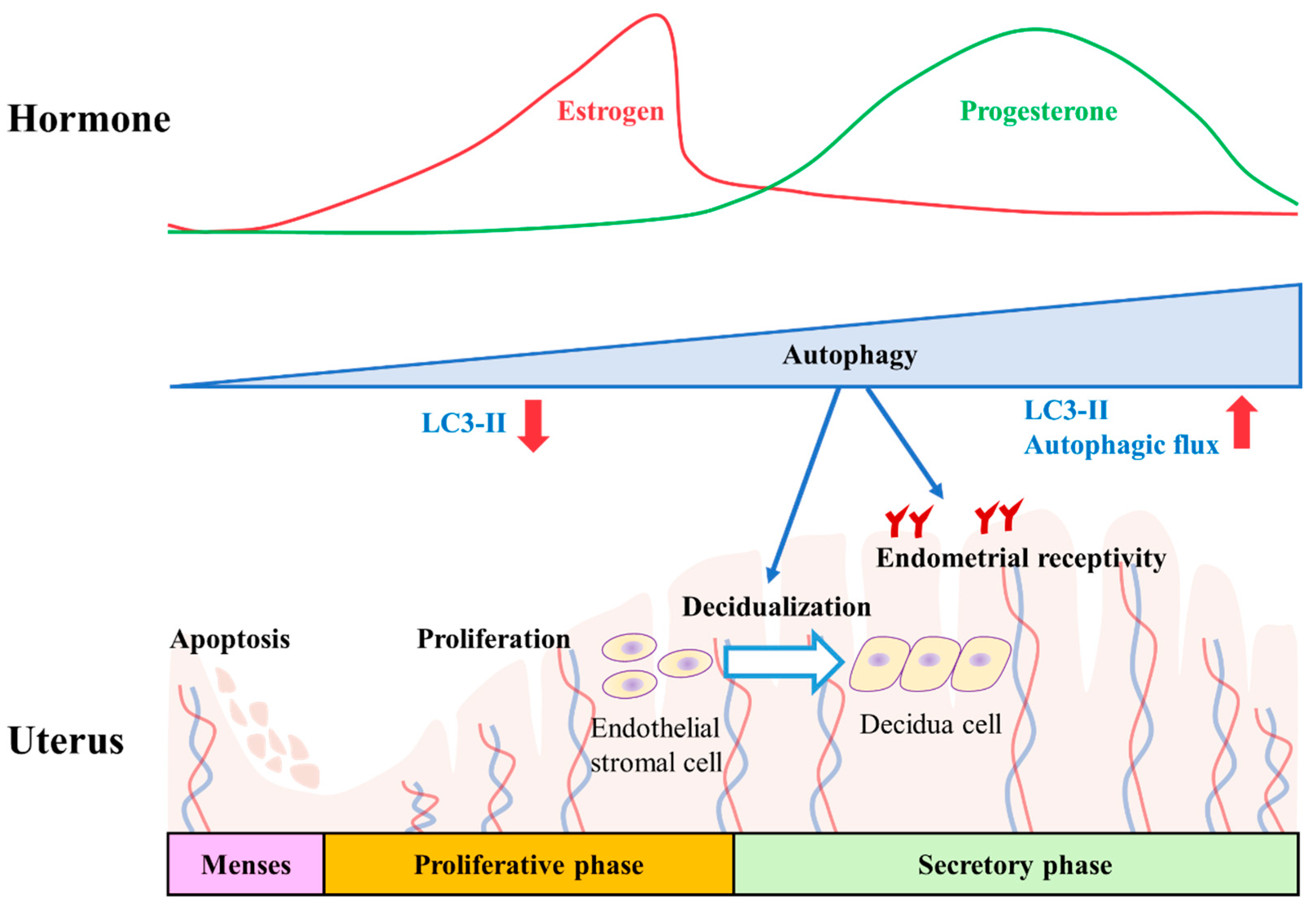 Pharmaceuticals 15 00053 g004