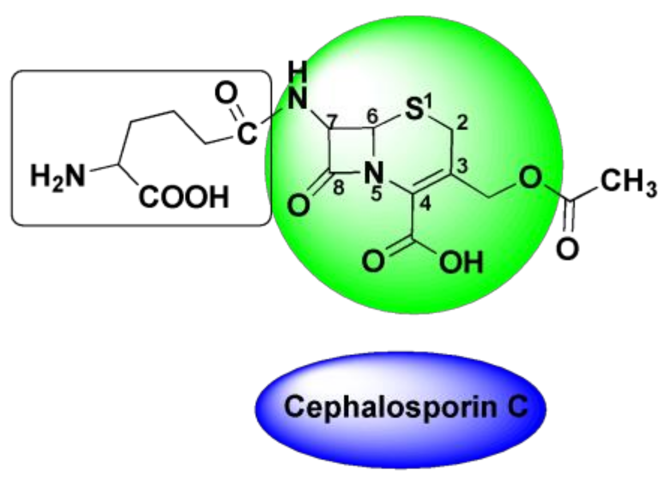 Pharmaceuticals 15 00066 g010 Pharmaceuticals 15 00066 g010