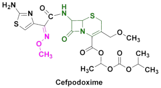 Pharmaceuticals 15 00066 i004 Pharmaceuticals 15 00066 i004