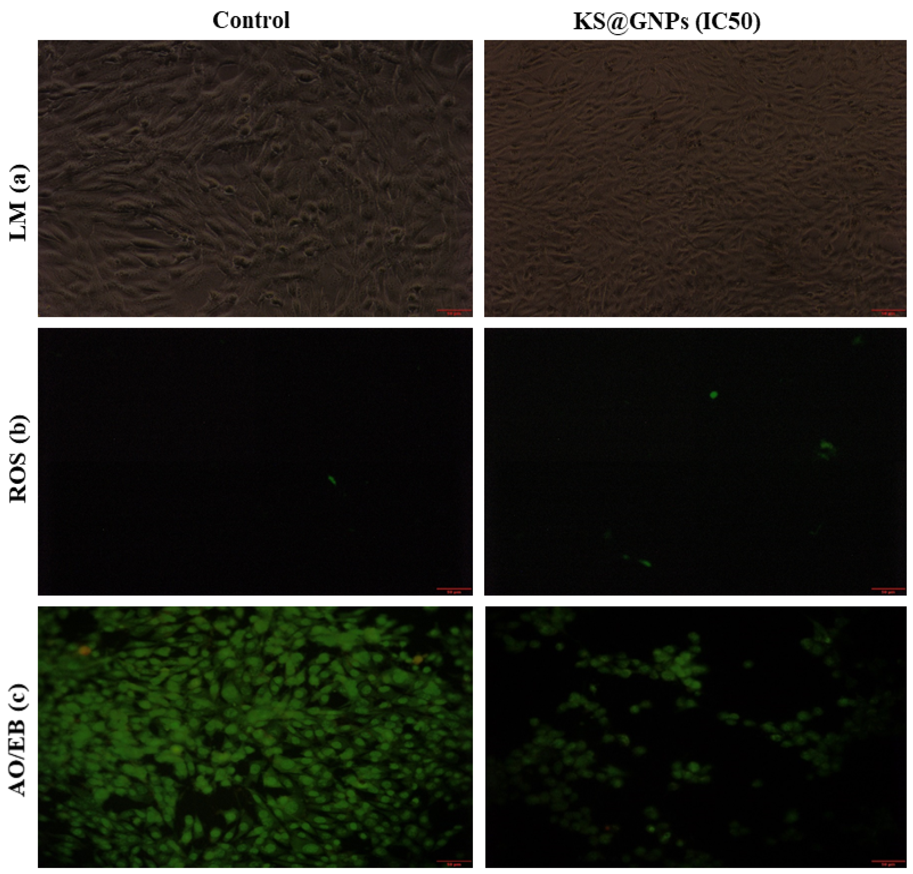Pharmaceuticals 15 00111 g008