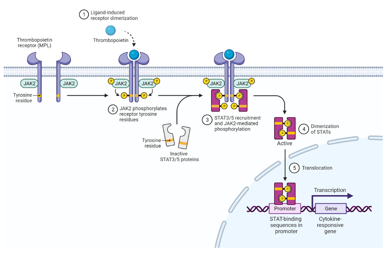 Pharmaceuticals 15 00160 g002