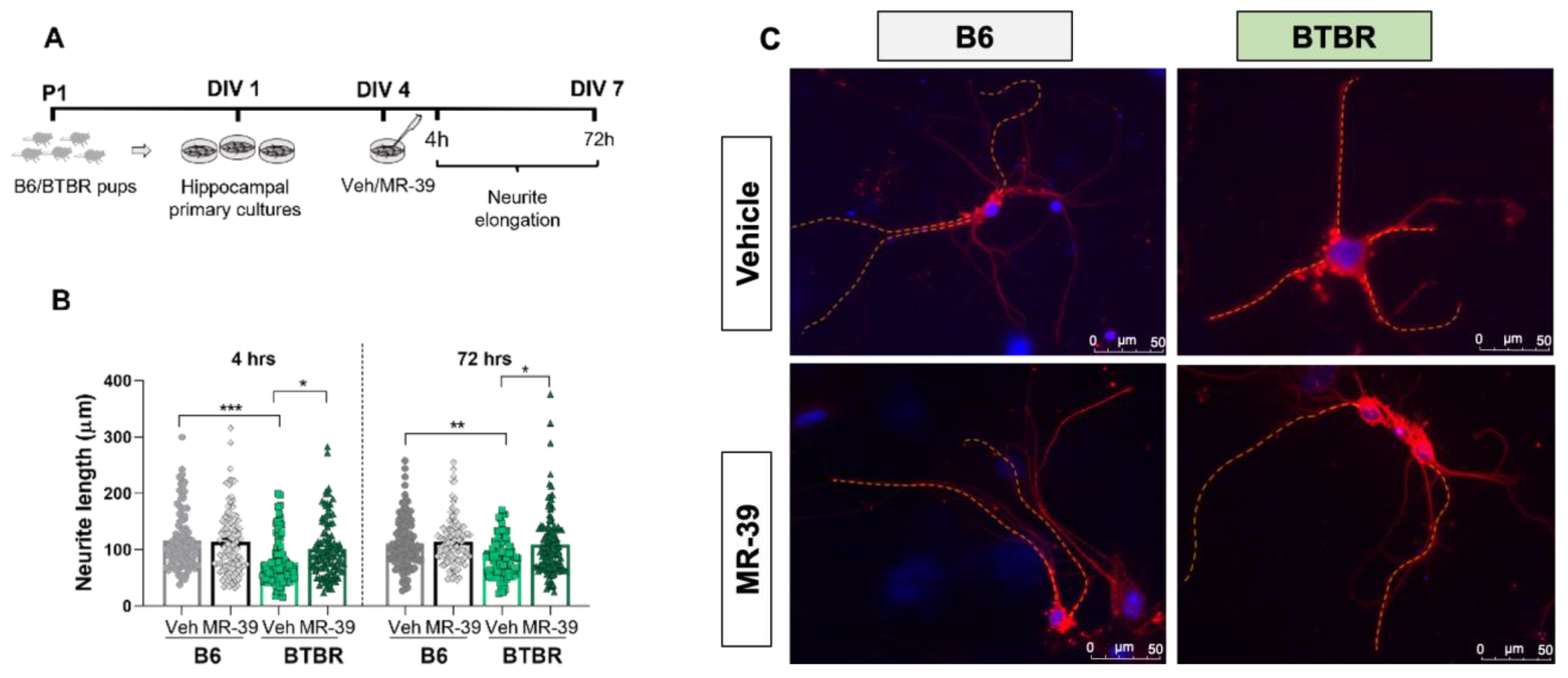Pharmaceuticals 15 00161 g006