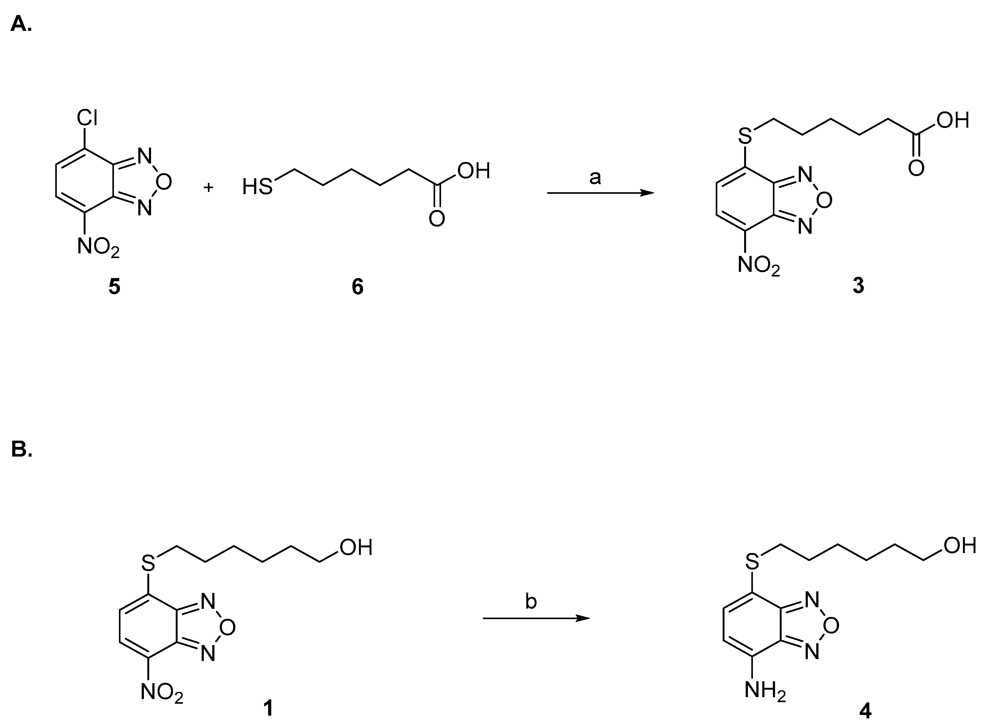 Pharmaceuticals 15 00168 g005