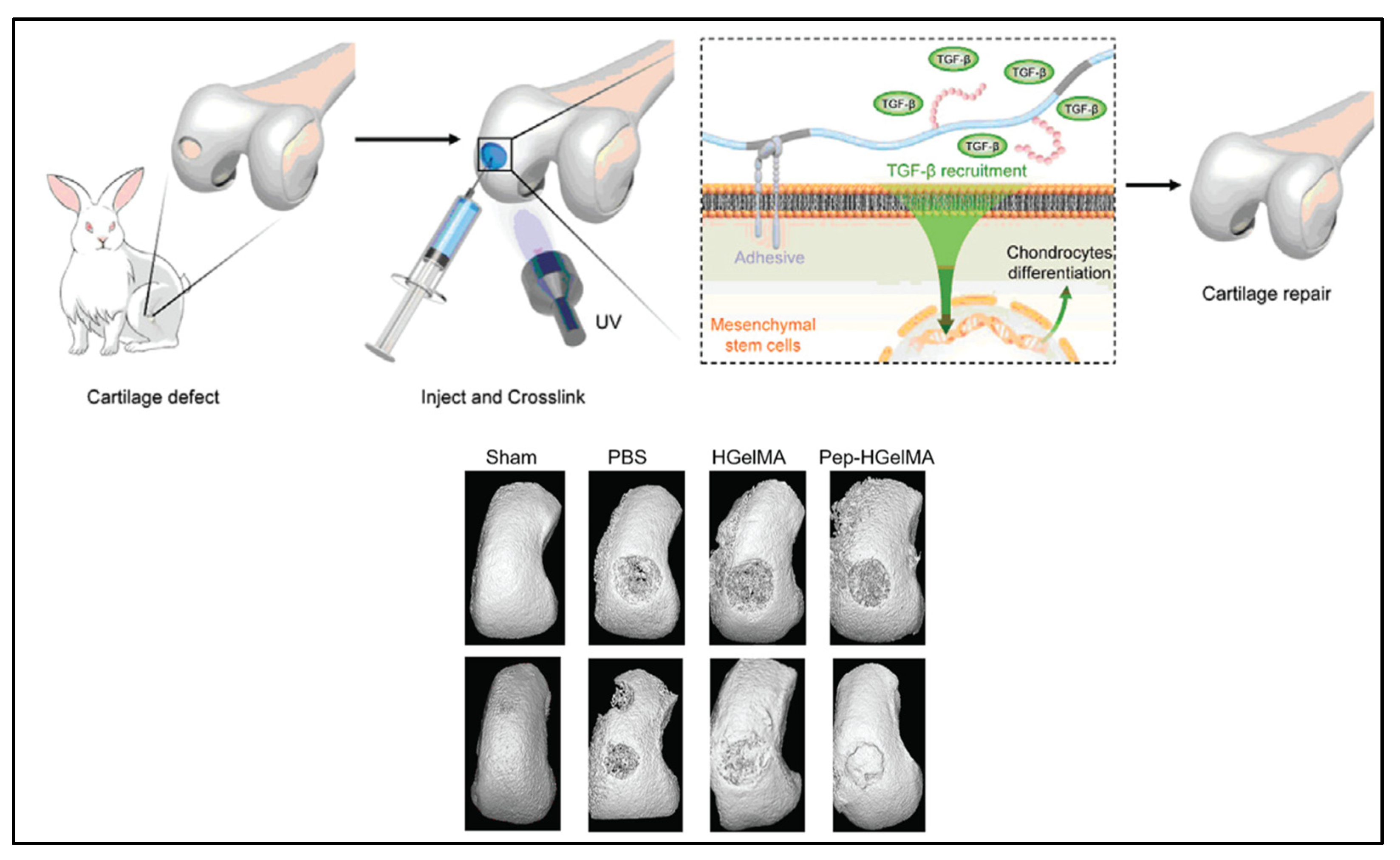 Pharmaceuticals 15 00171 g003