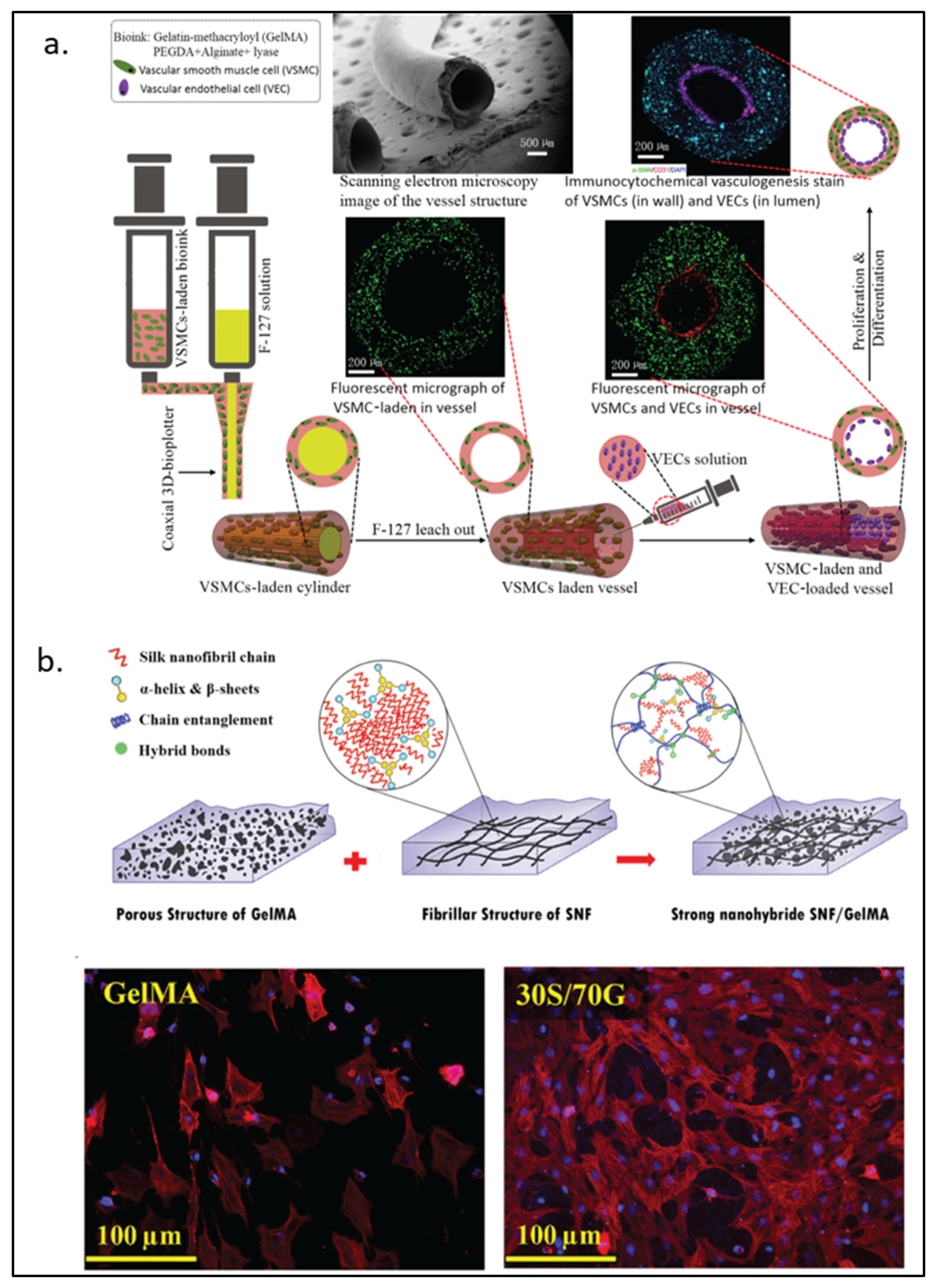 Pharmaceuticals 15 00171 g005